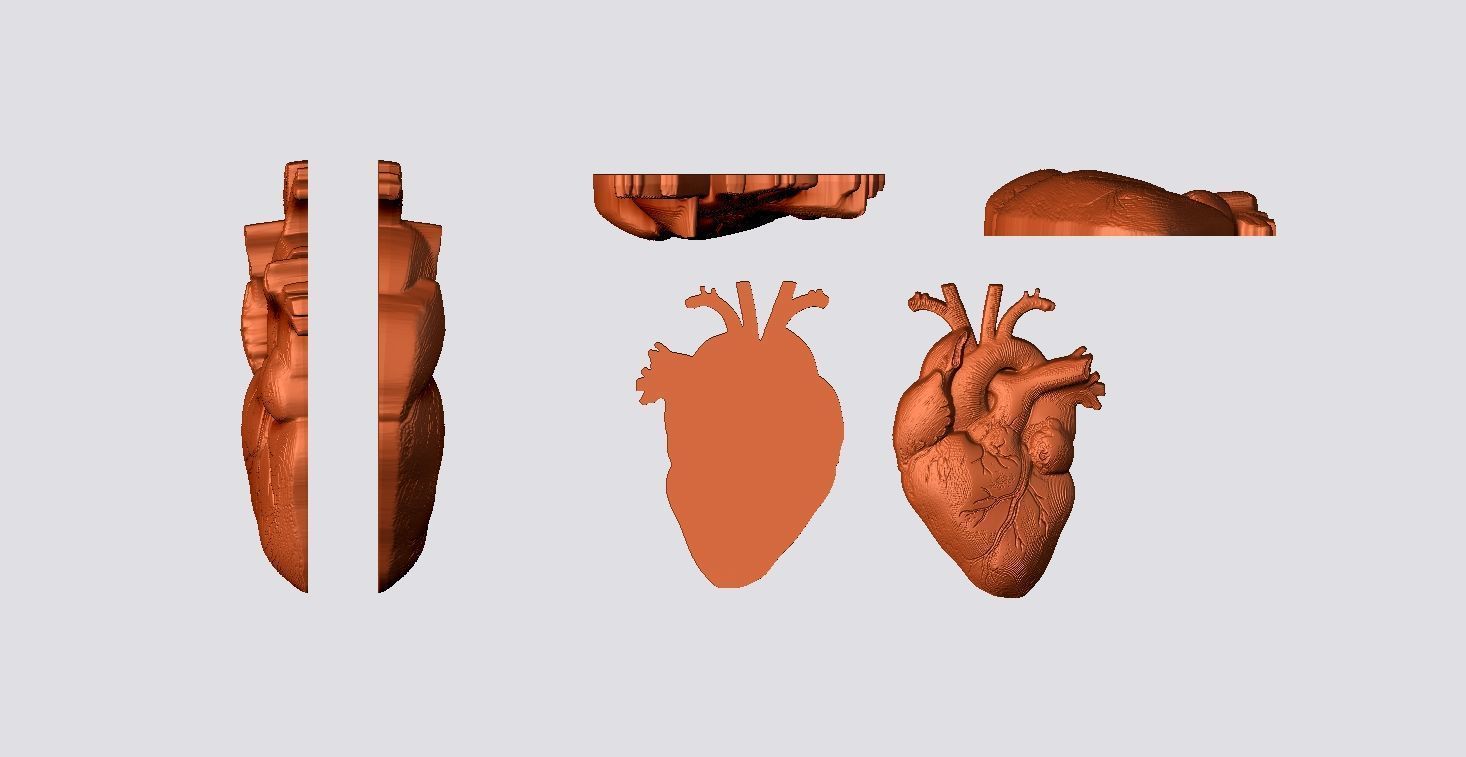 Real Heart Pendant 3D print model_6