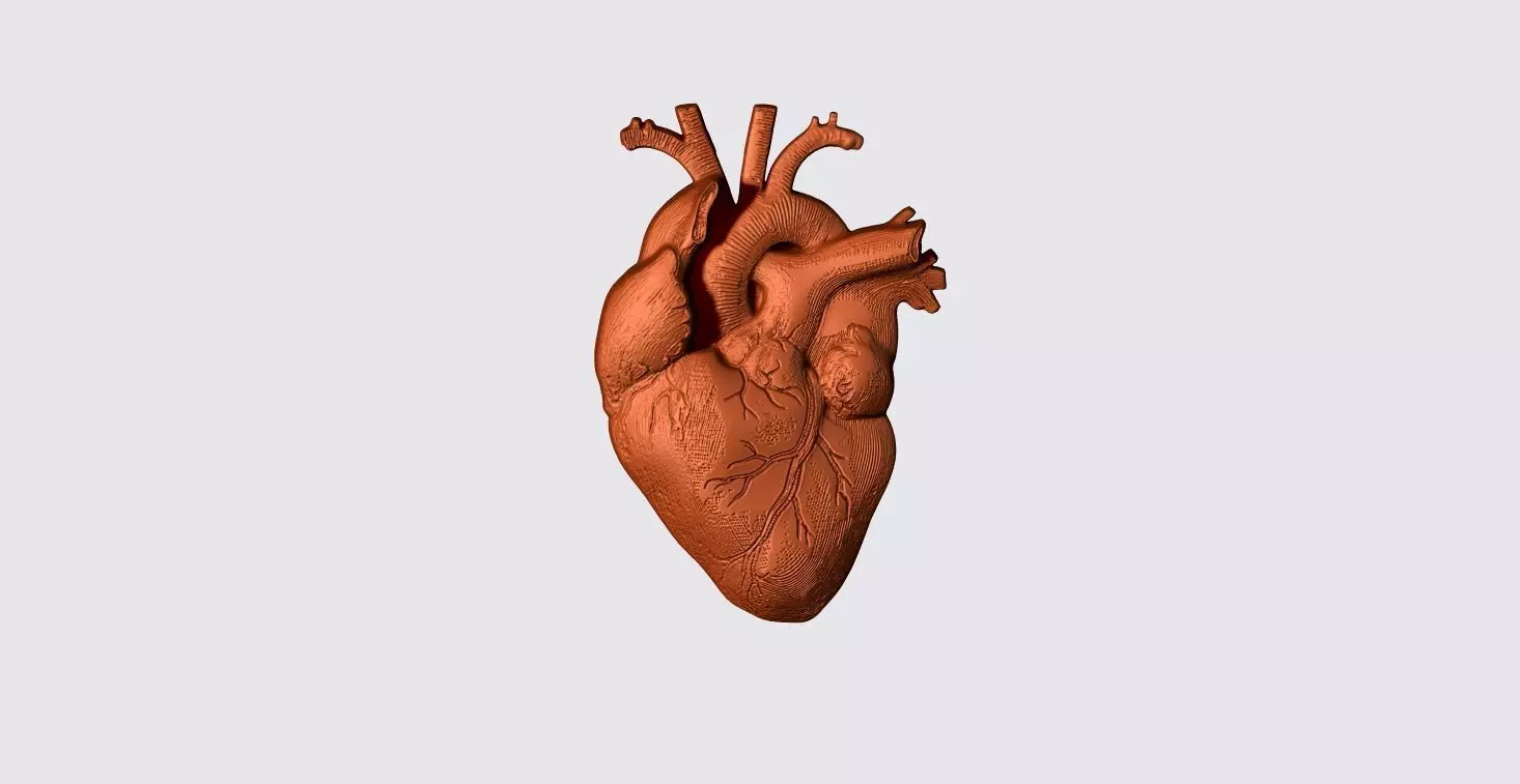 Real Heart Pendant 3D print model_0