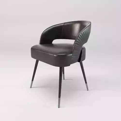 Modern Dining Chair