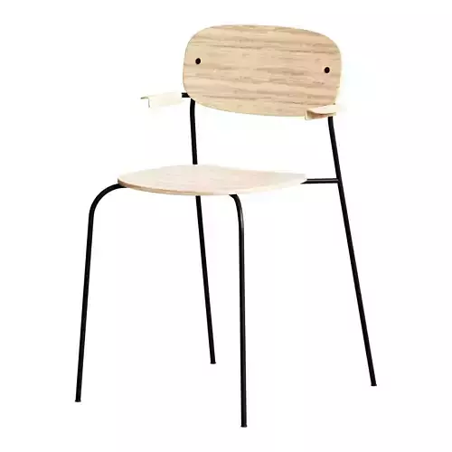 Co Chair with armrests