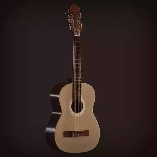 Acoustic Classical Guitar 