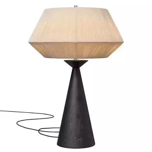 Totora Table Lamp by CB2 3D model