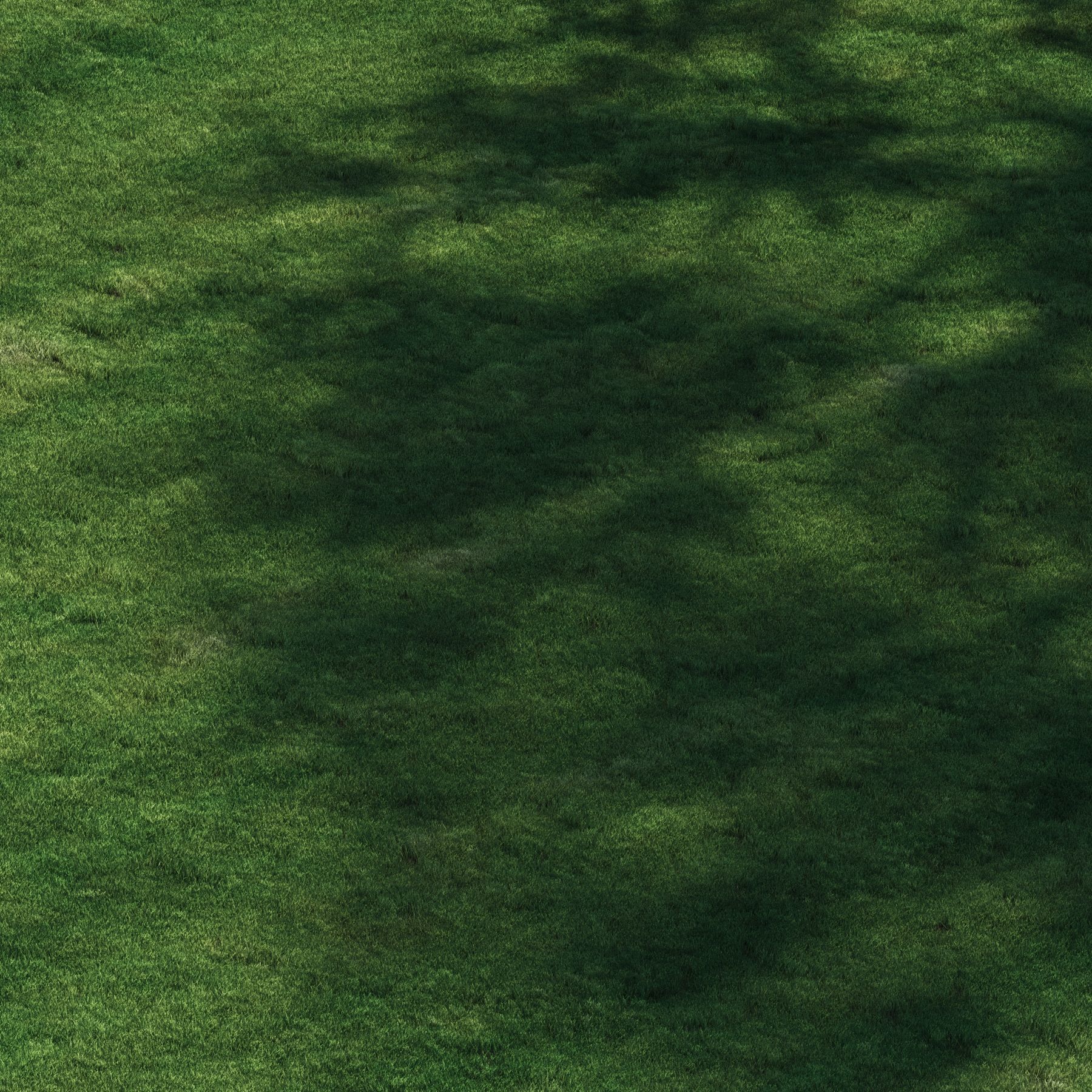 3 click grass for archviz 3D model_1