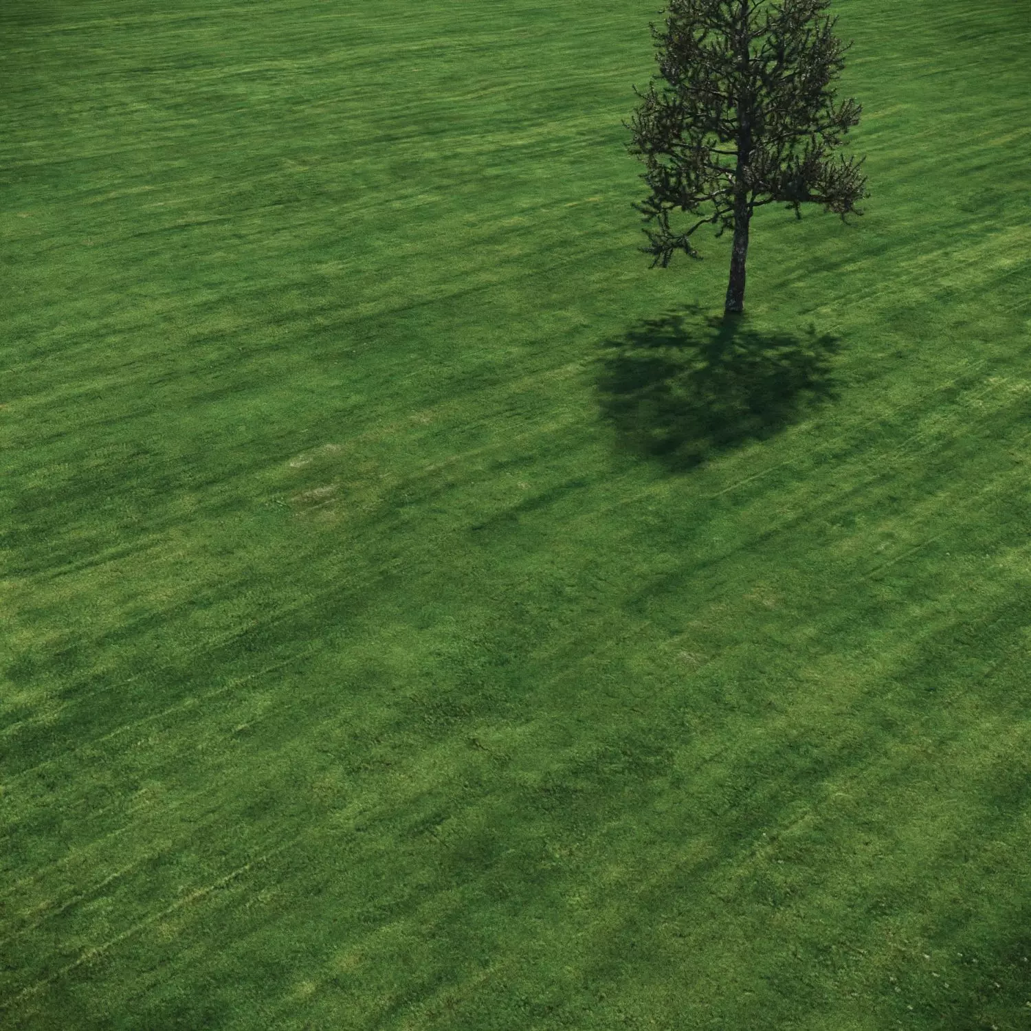 3 click grass for archviz 3D model_0