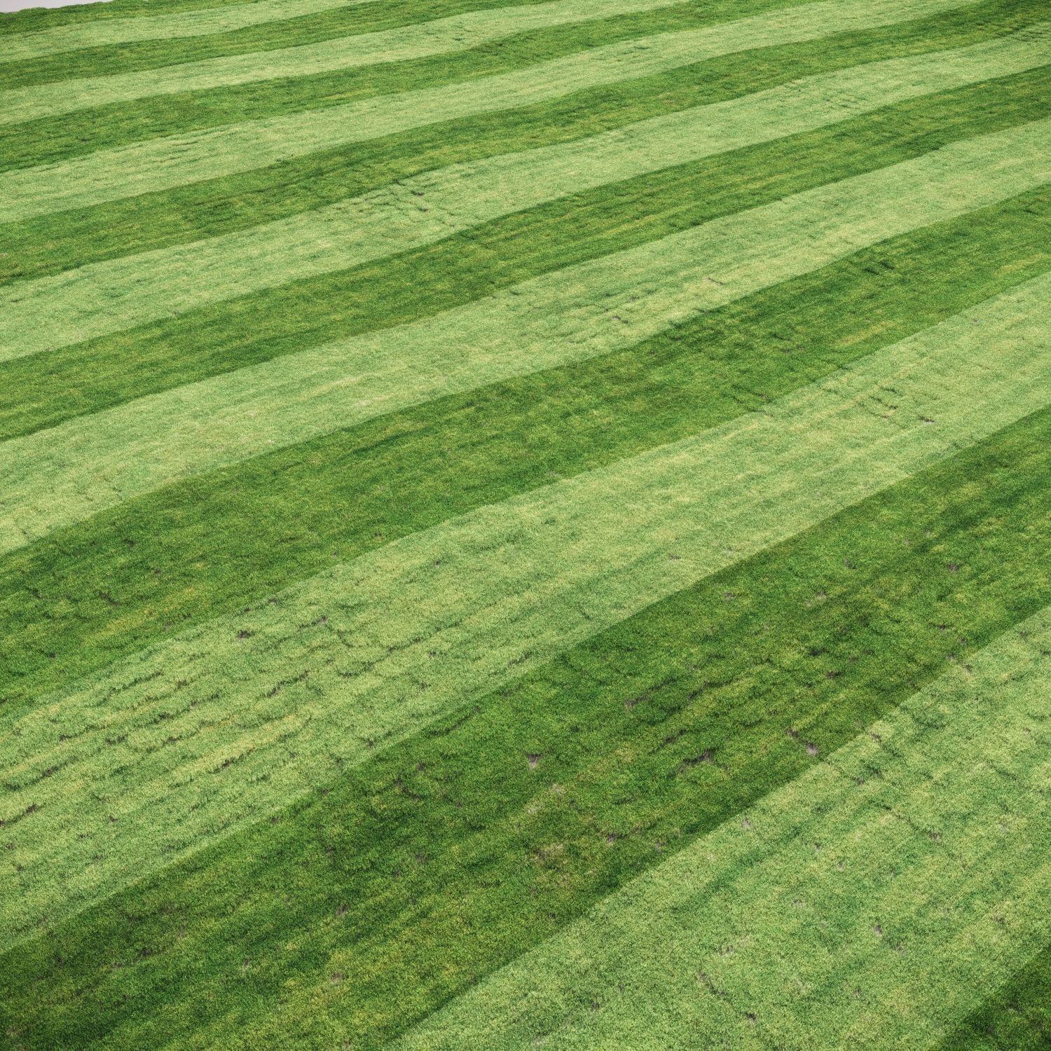 3 click grass for archviz 3D model_6