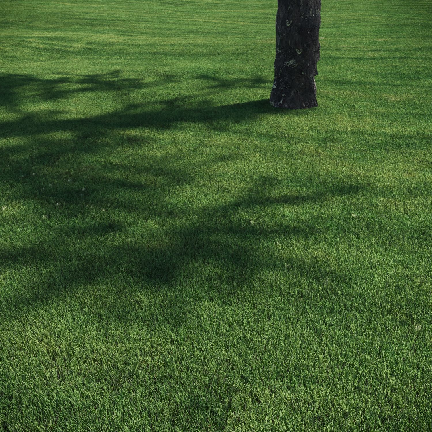 3 click grass for archviz 3D model_2