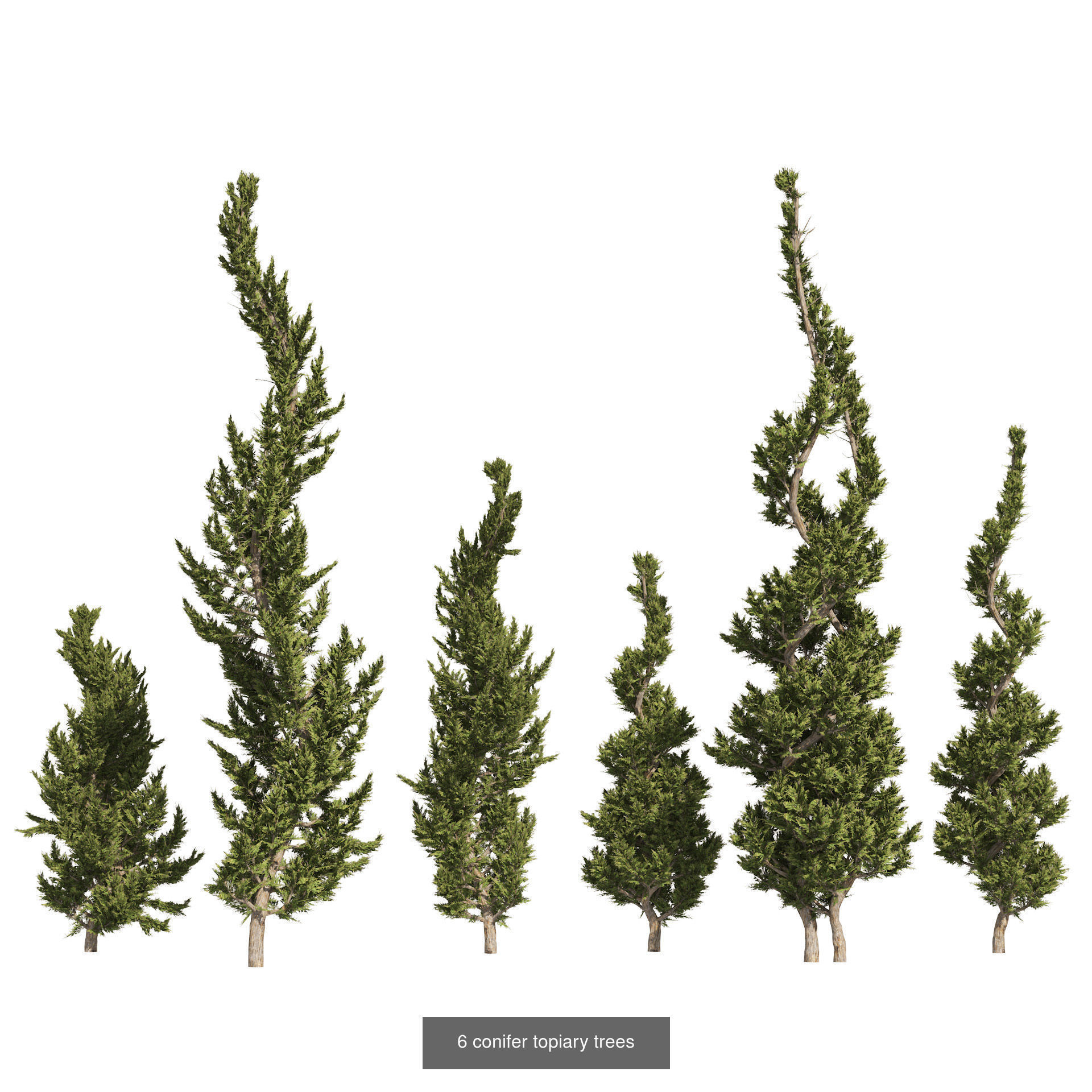 Low Poly Tree Collection _66