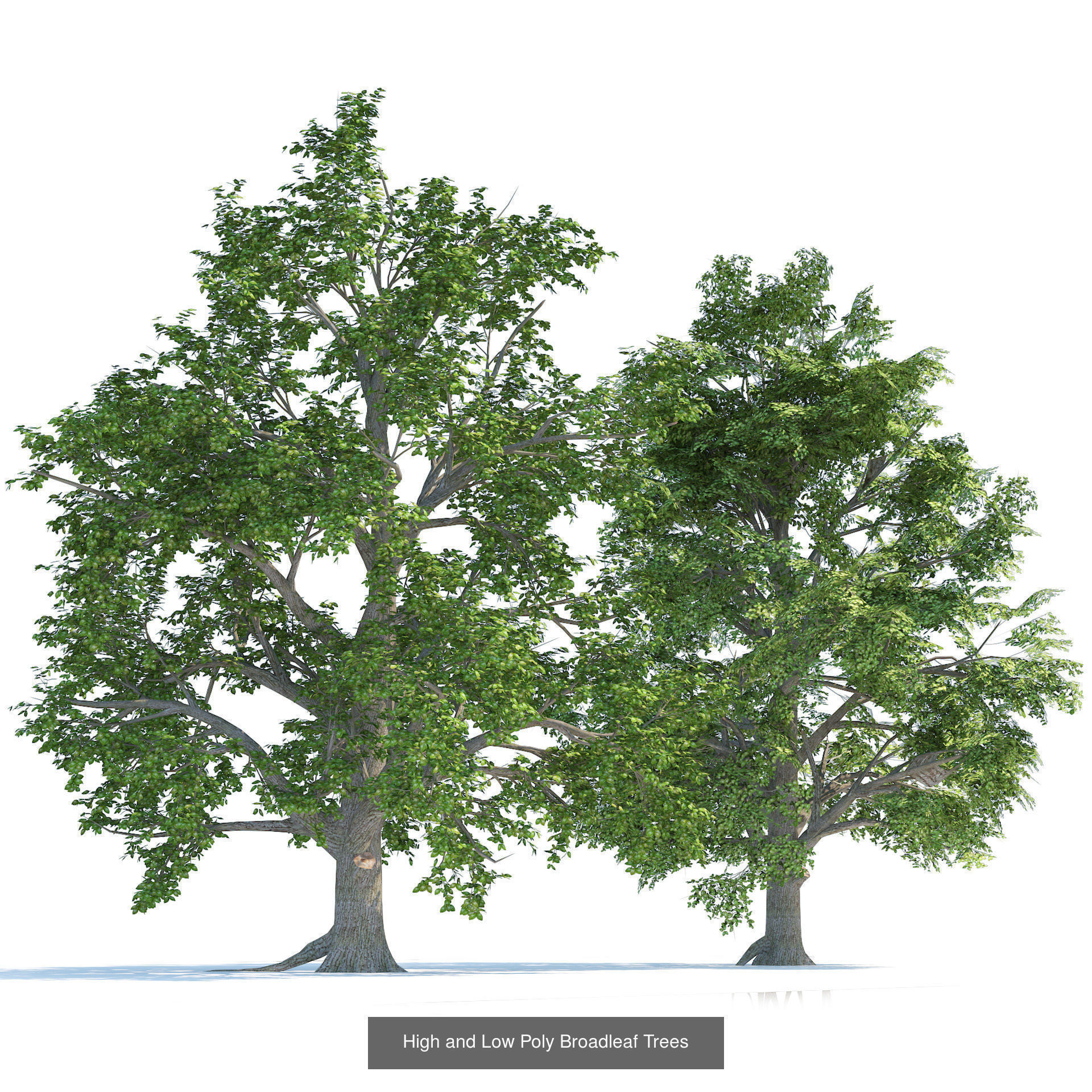 Low Poly Tree Collection _81