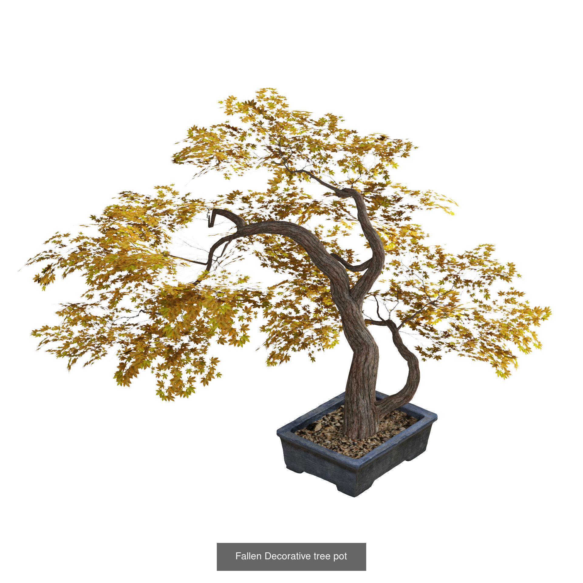 Low Poly Tree Collection _102
