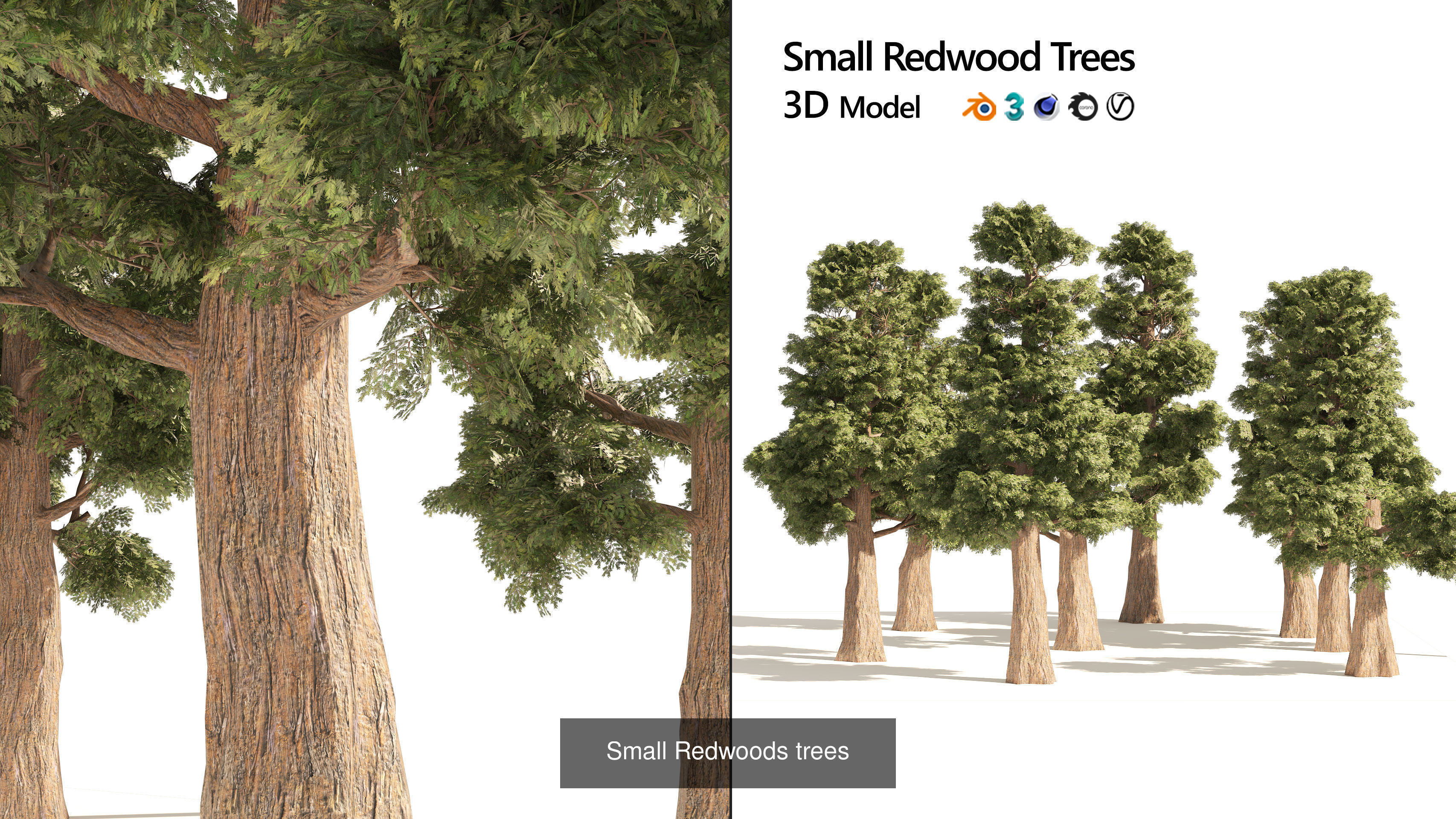 Low Poly Tree Collection _59