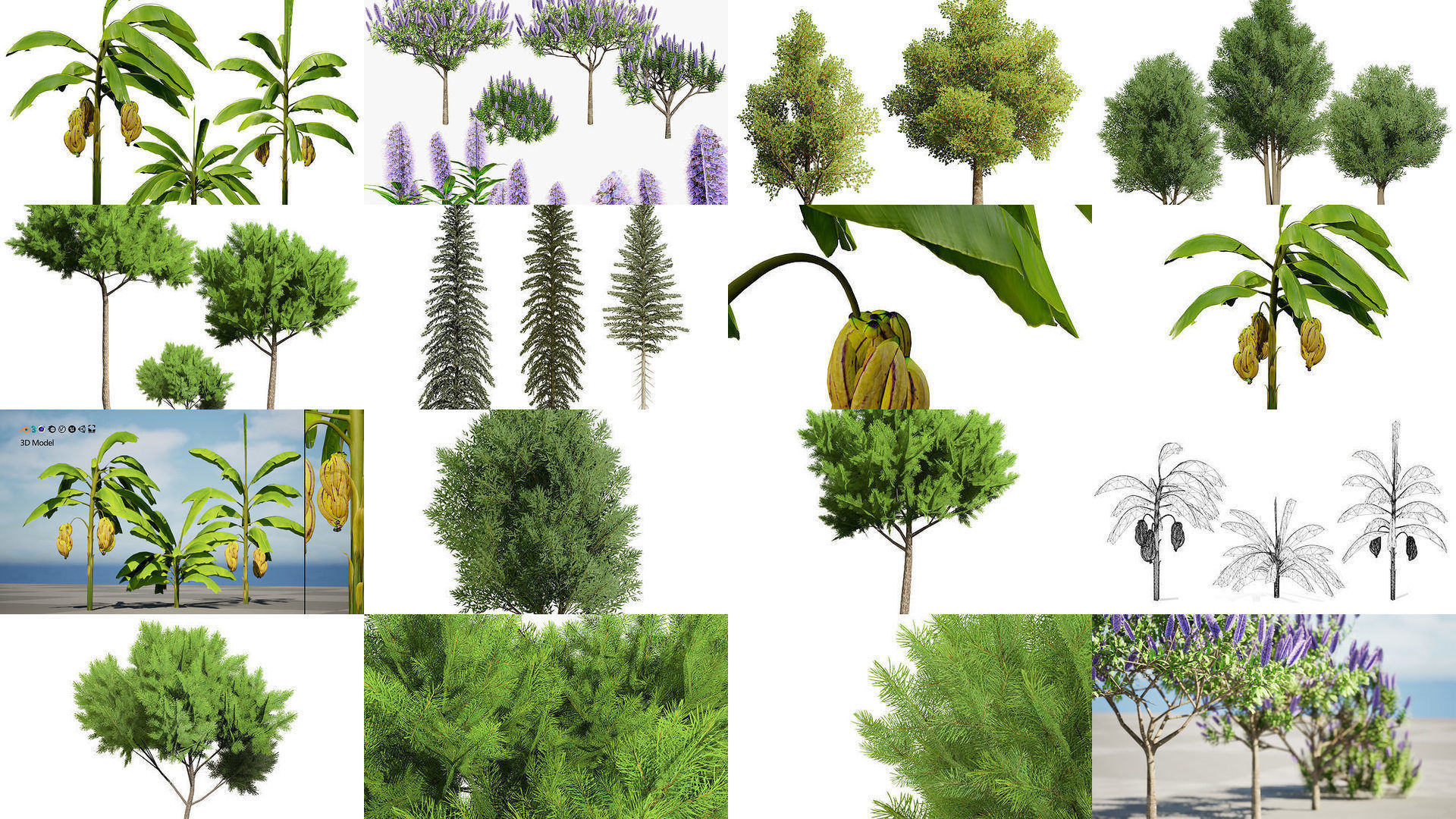 Low Poly Tree Collection _50