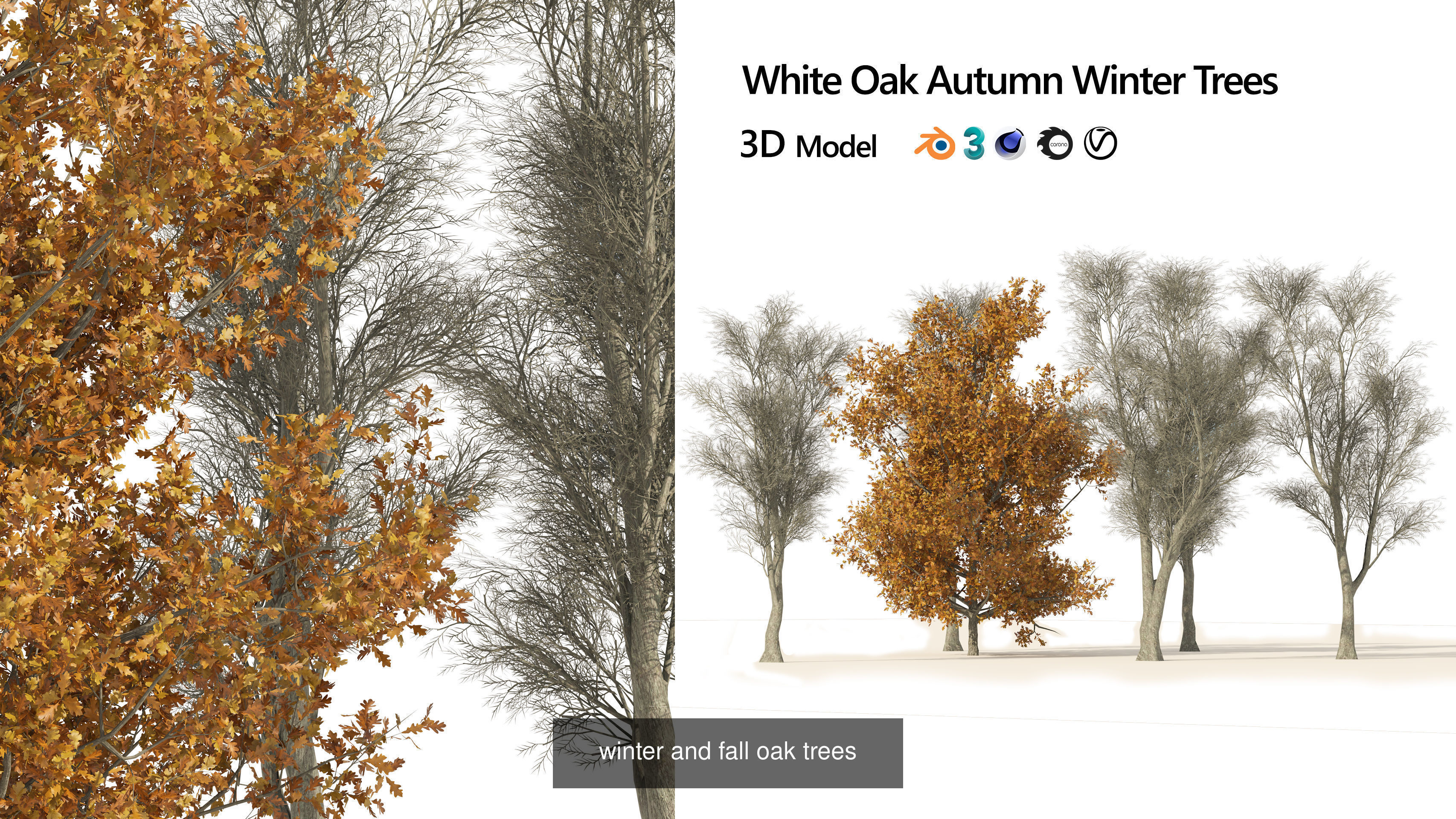 Low Poly Tree Collection _70
