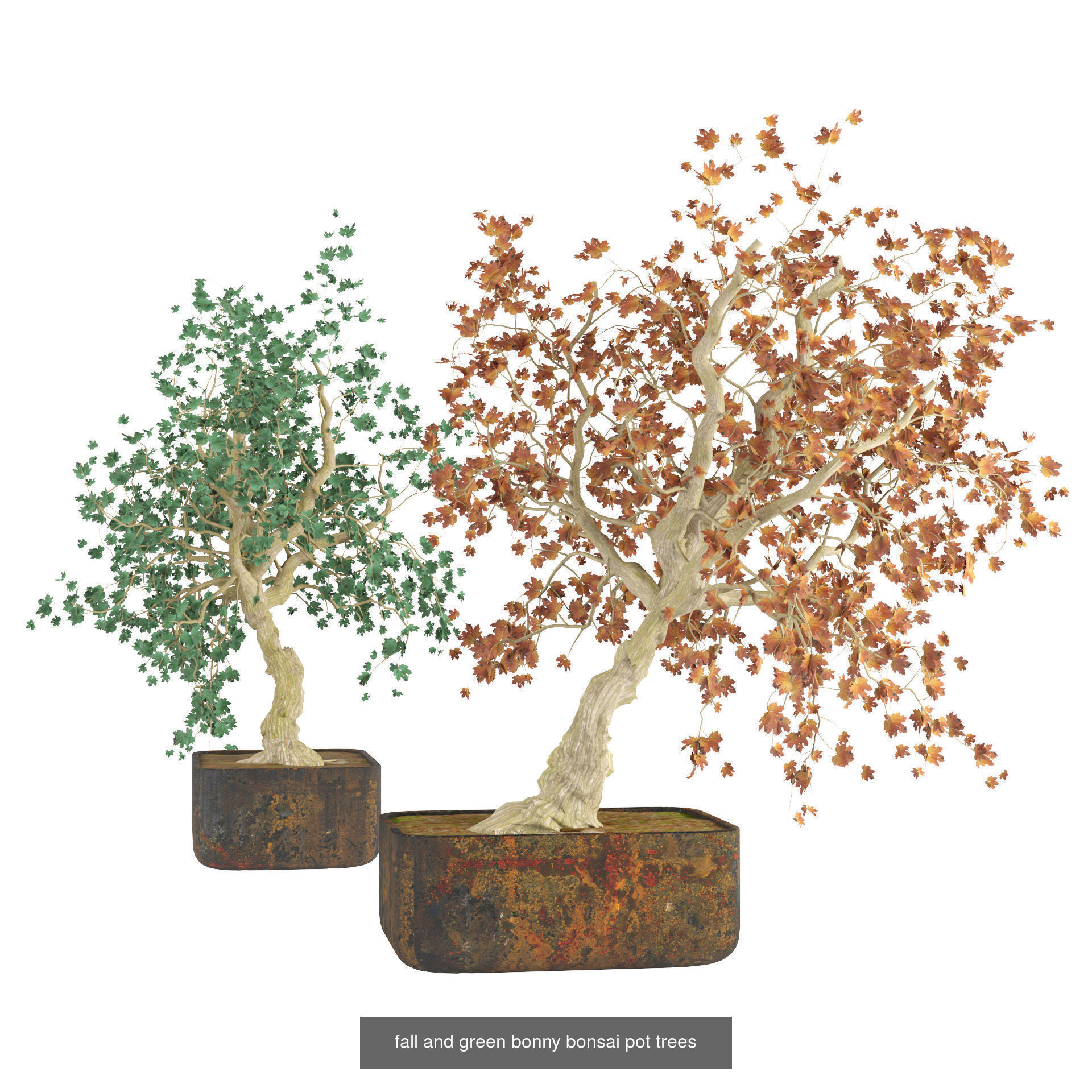 Low Poly Tree Collection _104