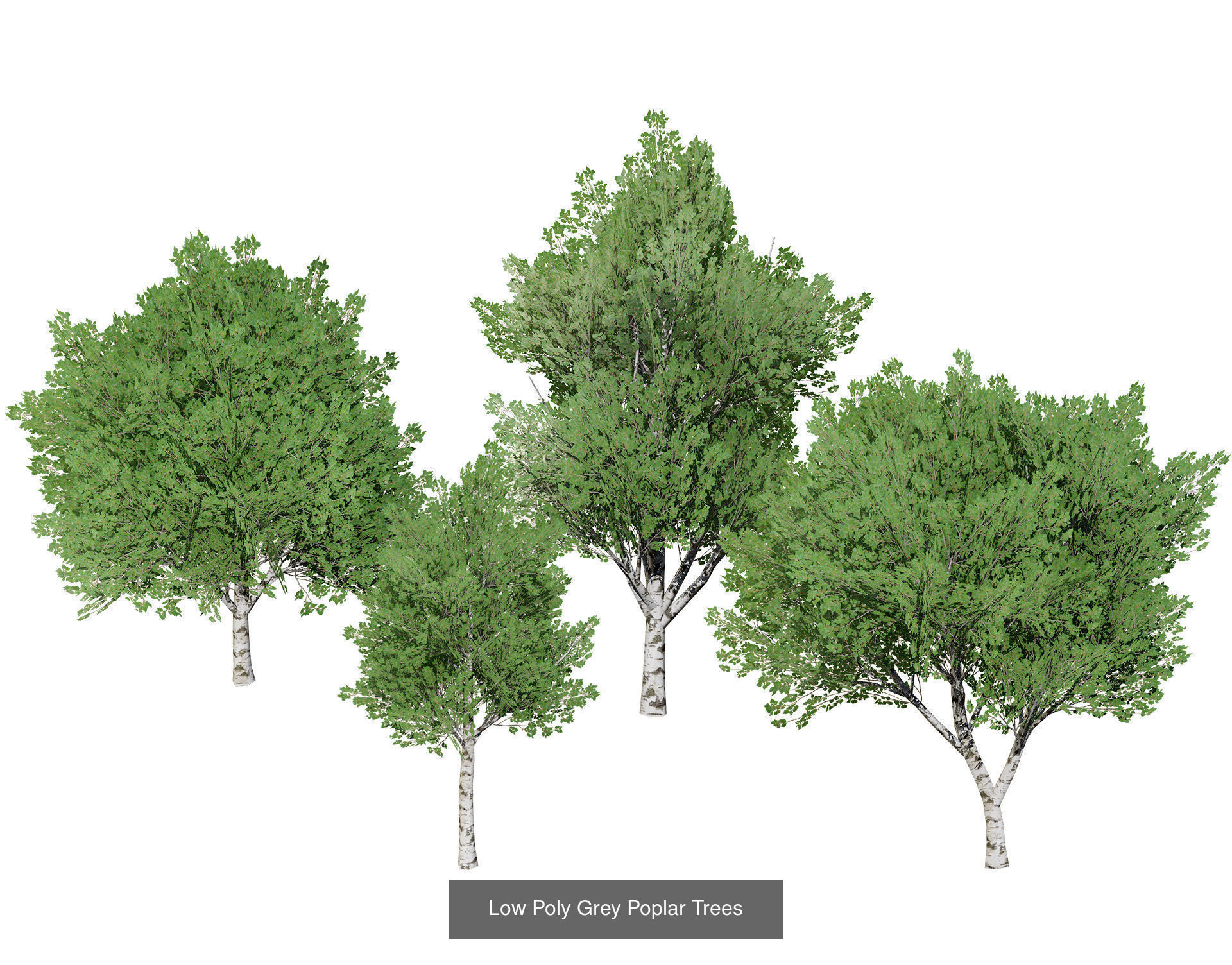 Low Poly Tree Collection _114