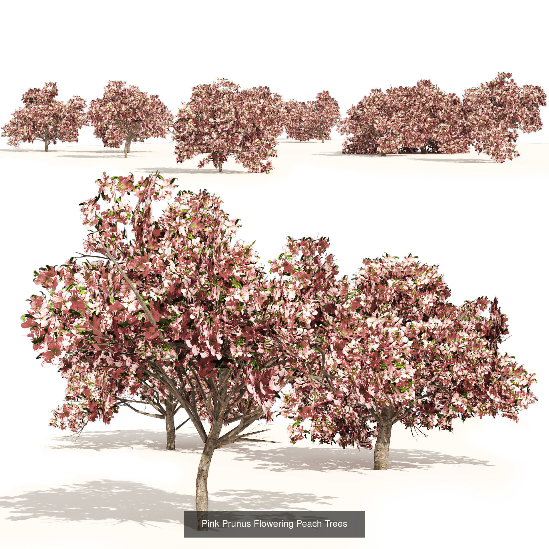 Low Poly Tree Collection _64