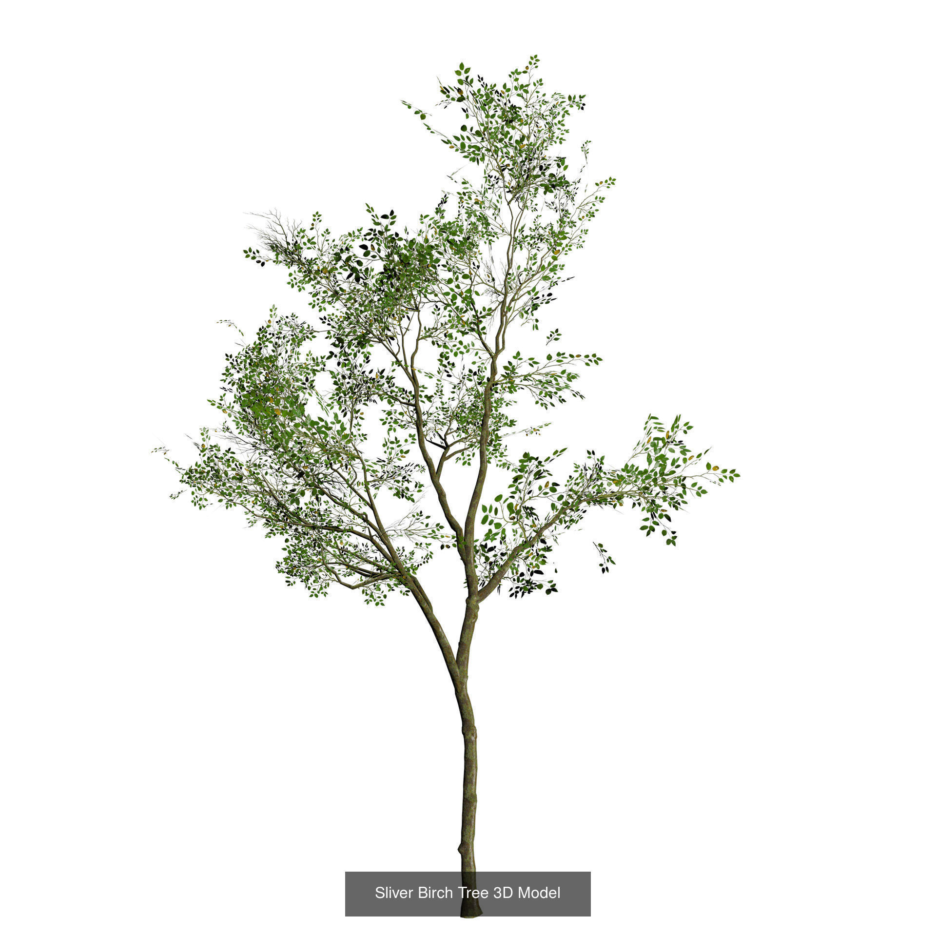 Low Poly Tree Collection _101