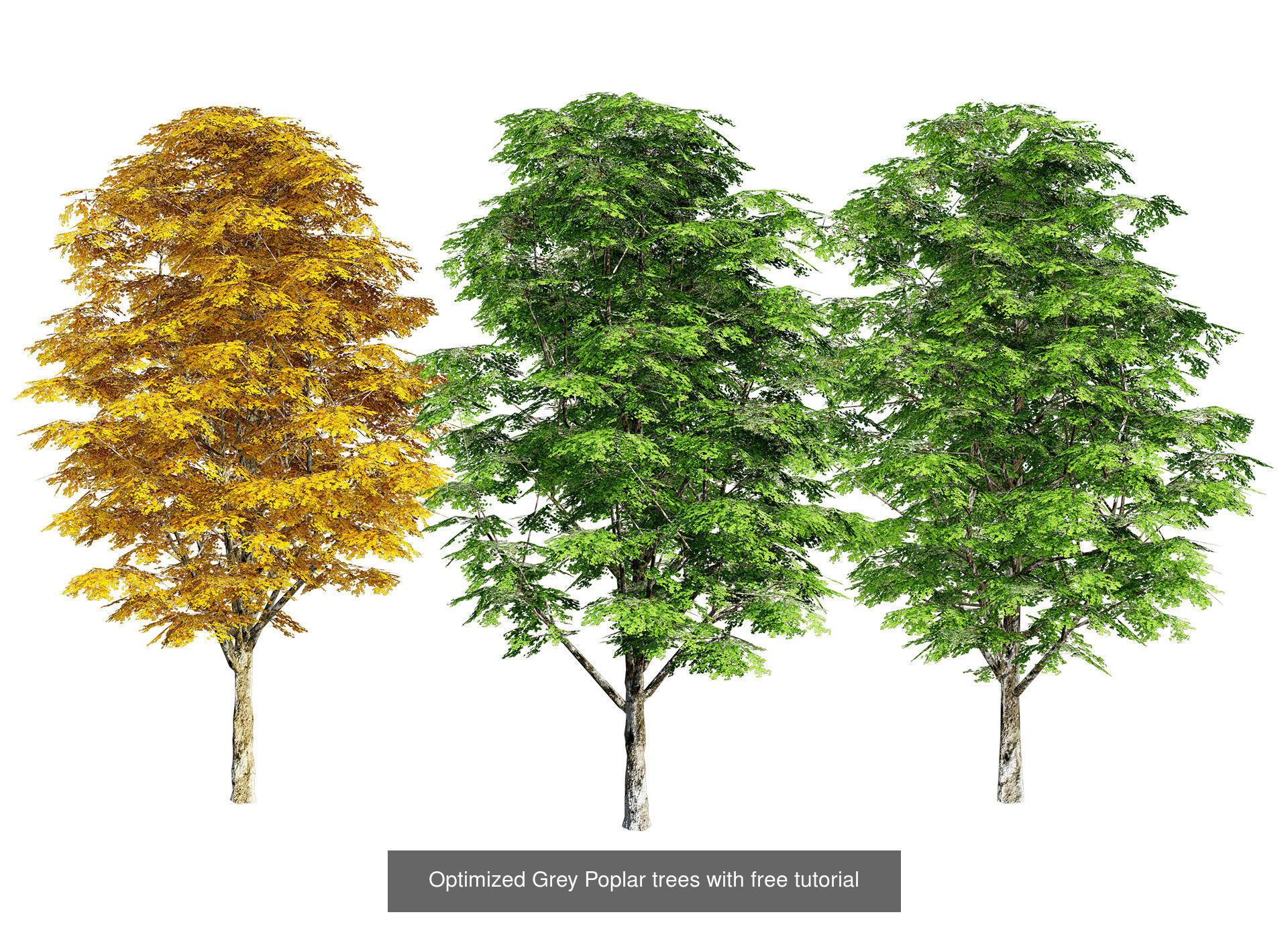 Low Poly Tree Collection _110