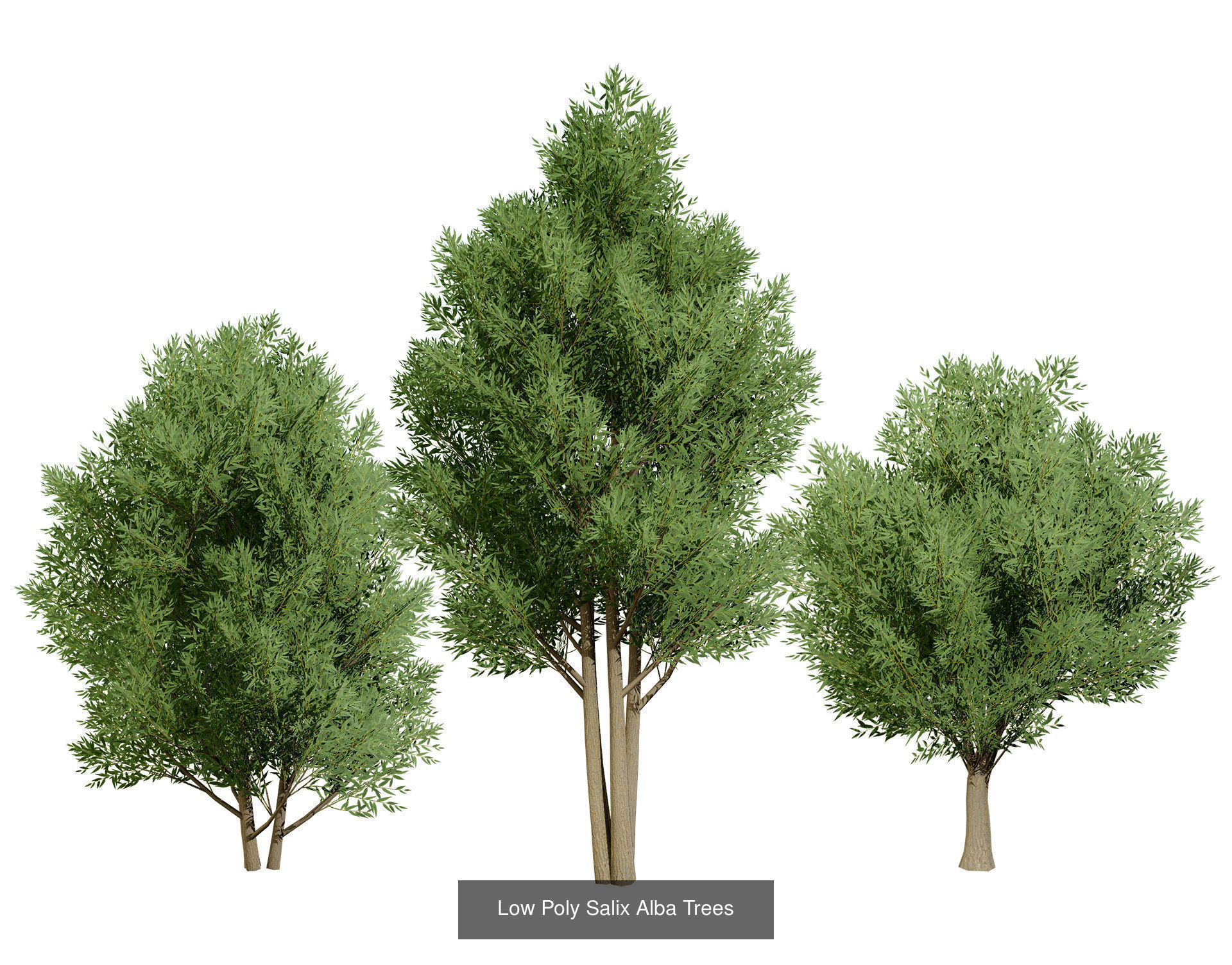 Low Poly Tree Collection _118
