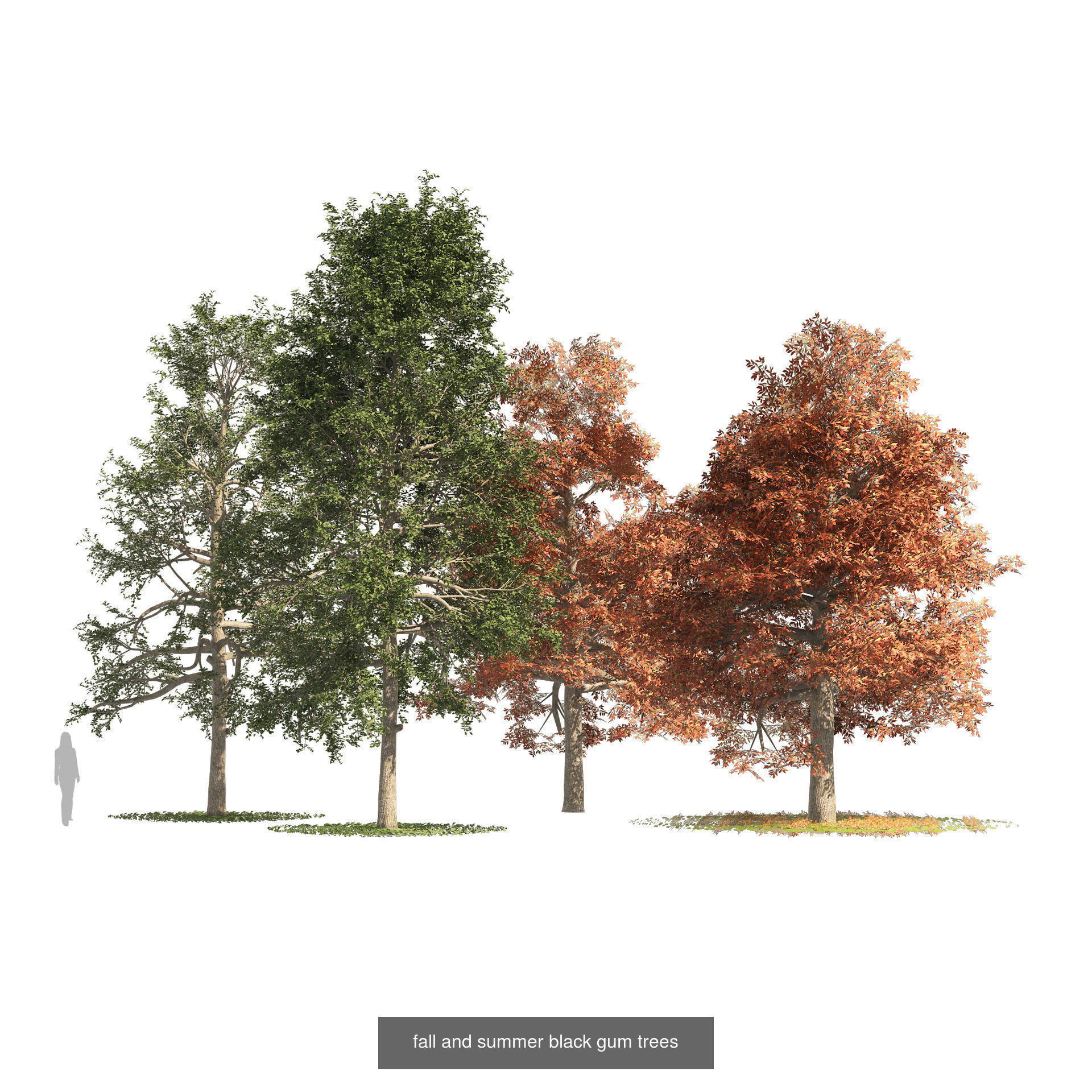 Low Poly Tree Collection _52