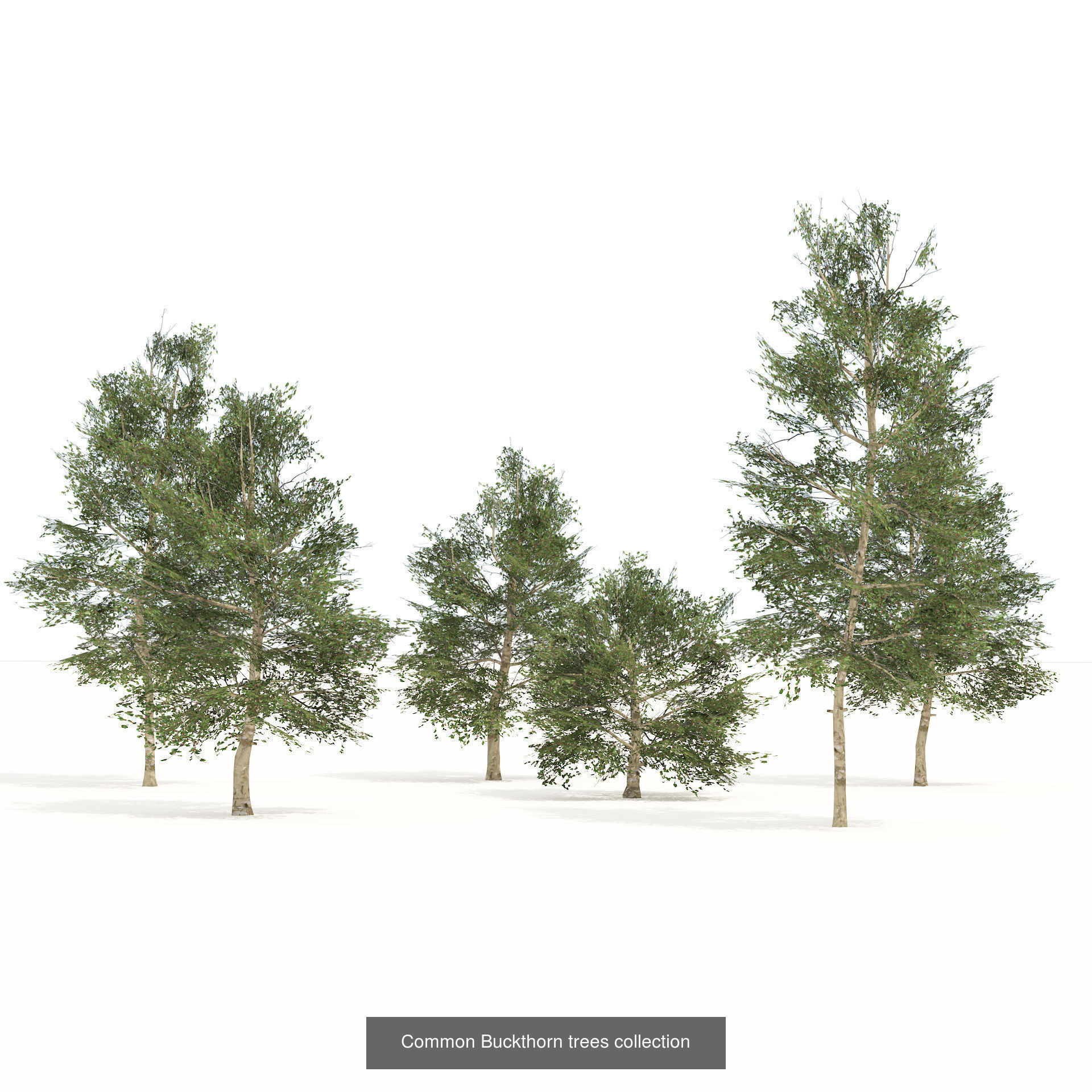 Low Poly Tree Collection _84