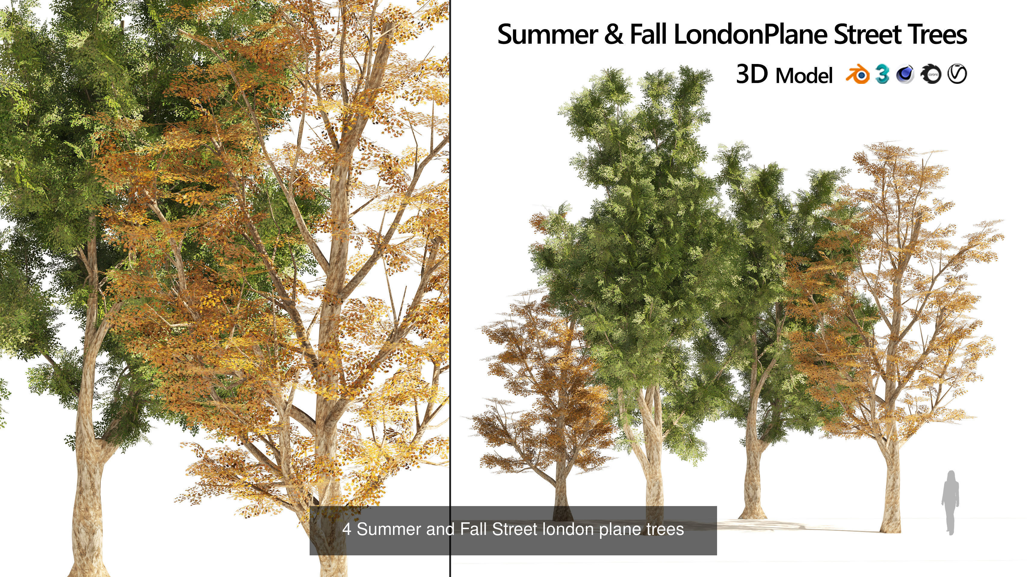 Low Poly Tree Collection _57