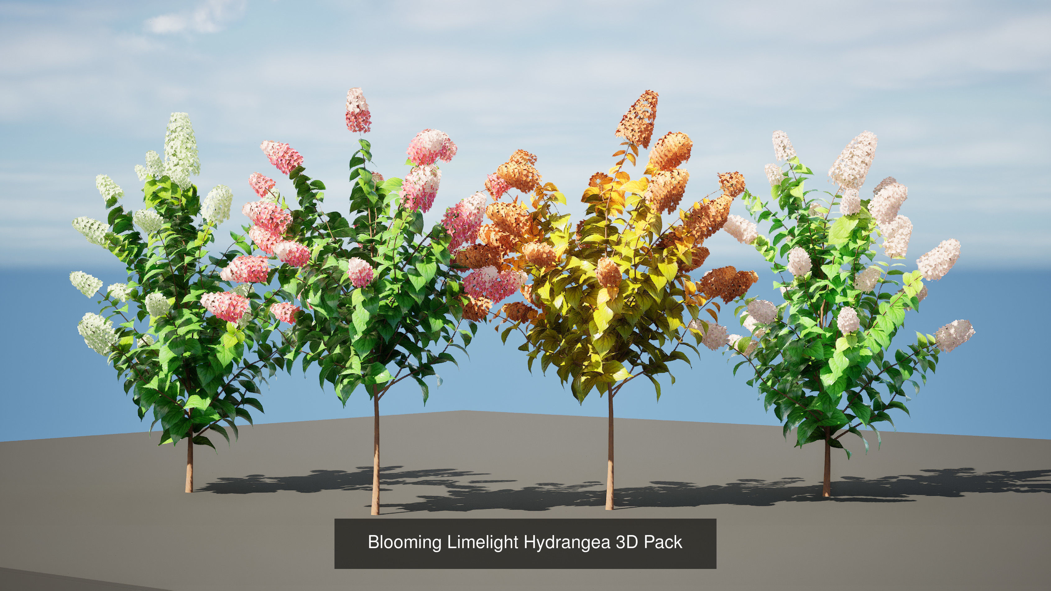Low Poly Tree Collection _111