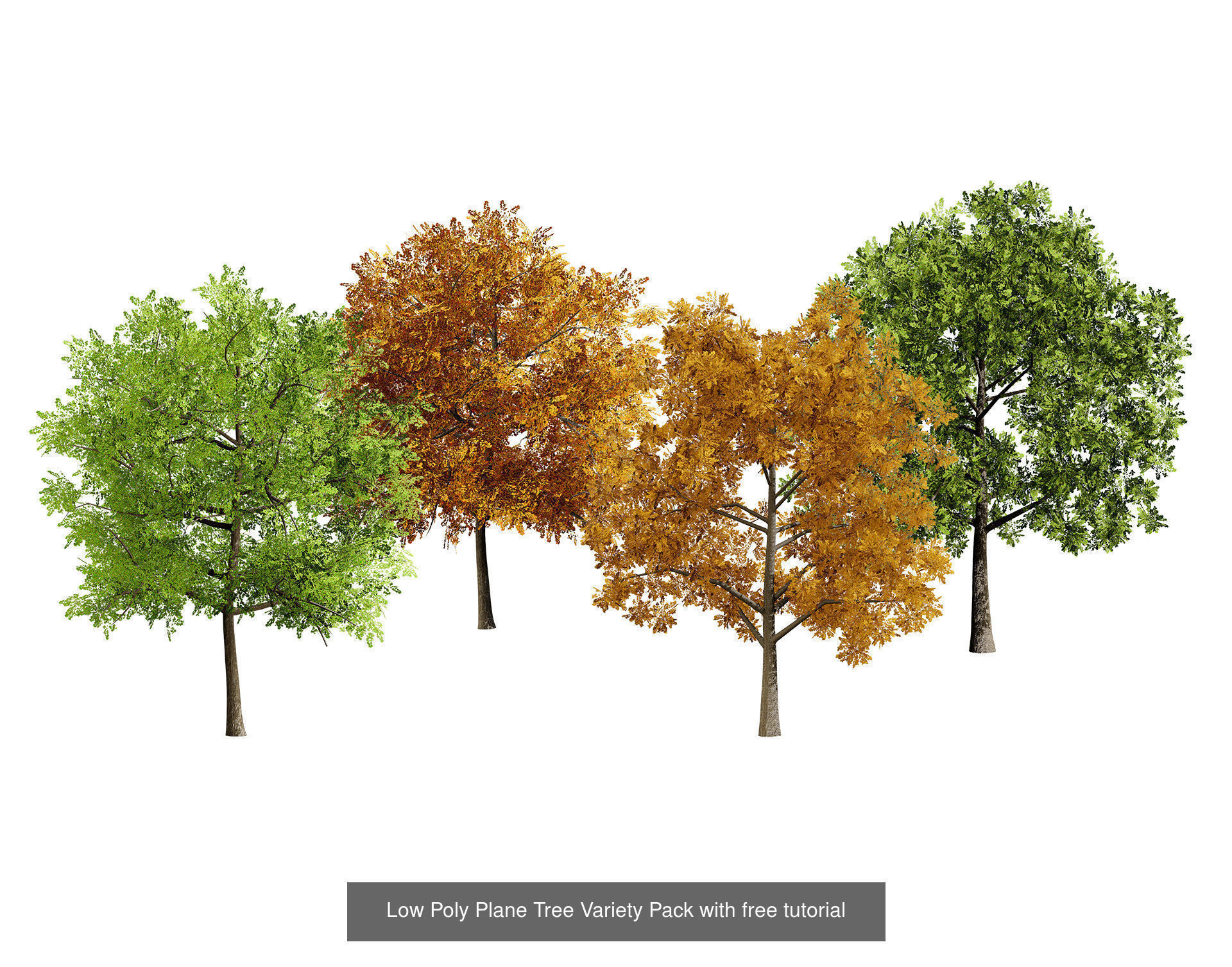 Low Poly Tree Collection _112