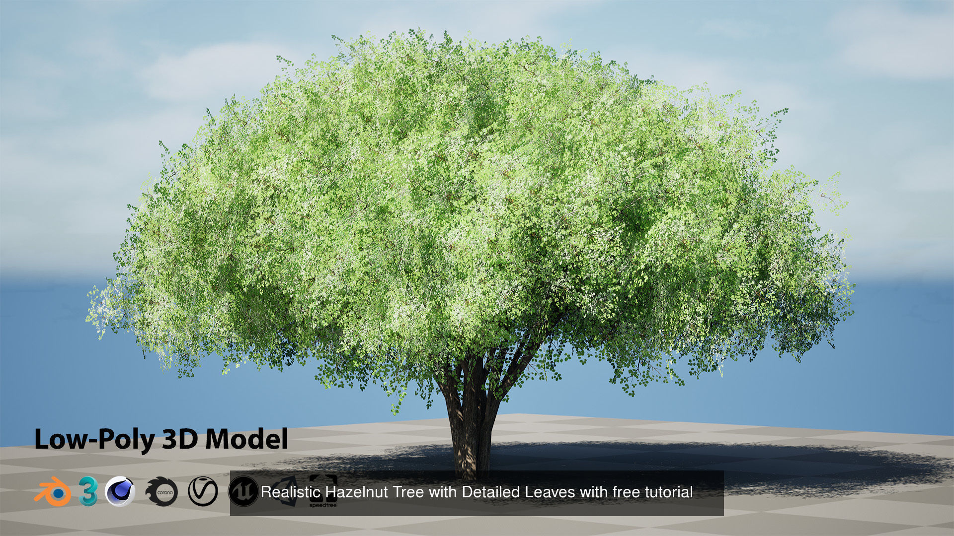 Low Poly Tree Collection _113