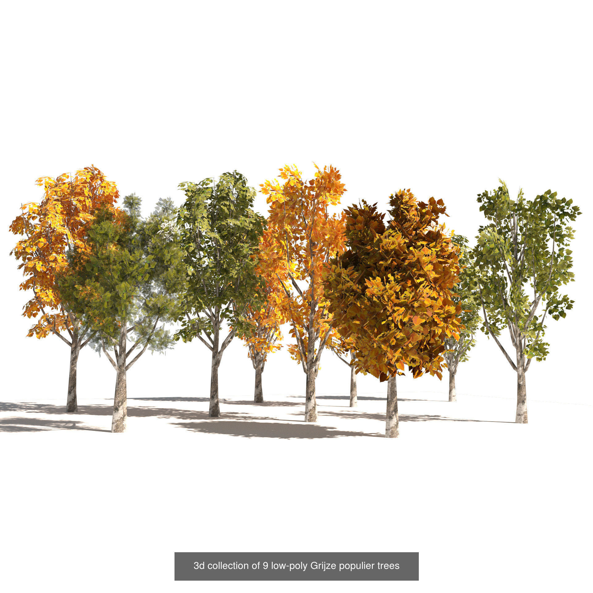 Low Poly Tree Collection _109