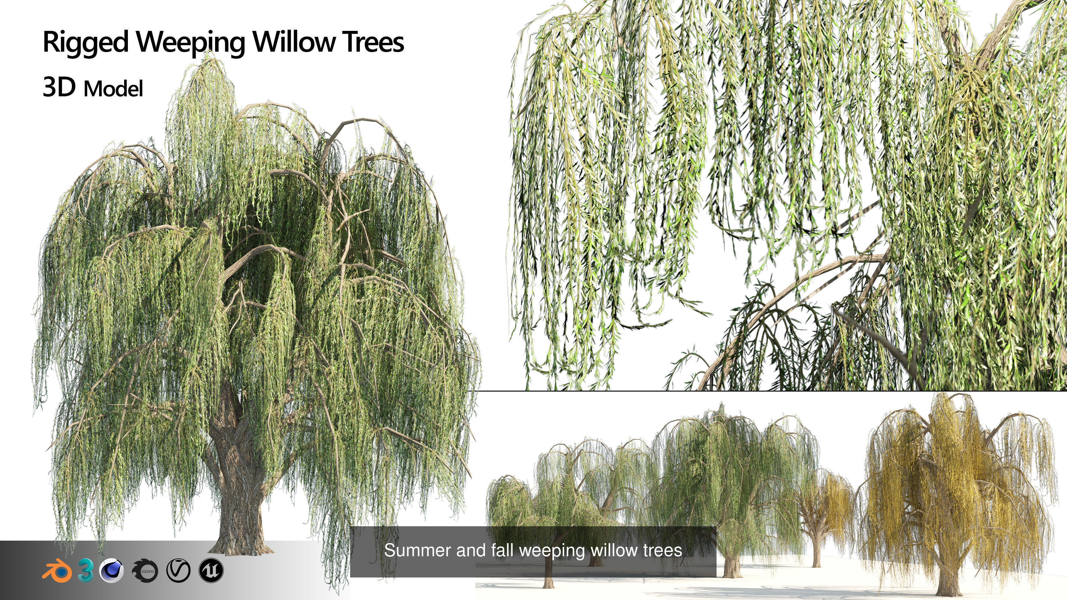 Low Poly Tree Collection _86