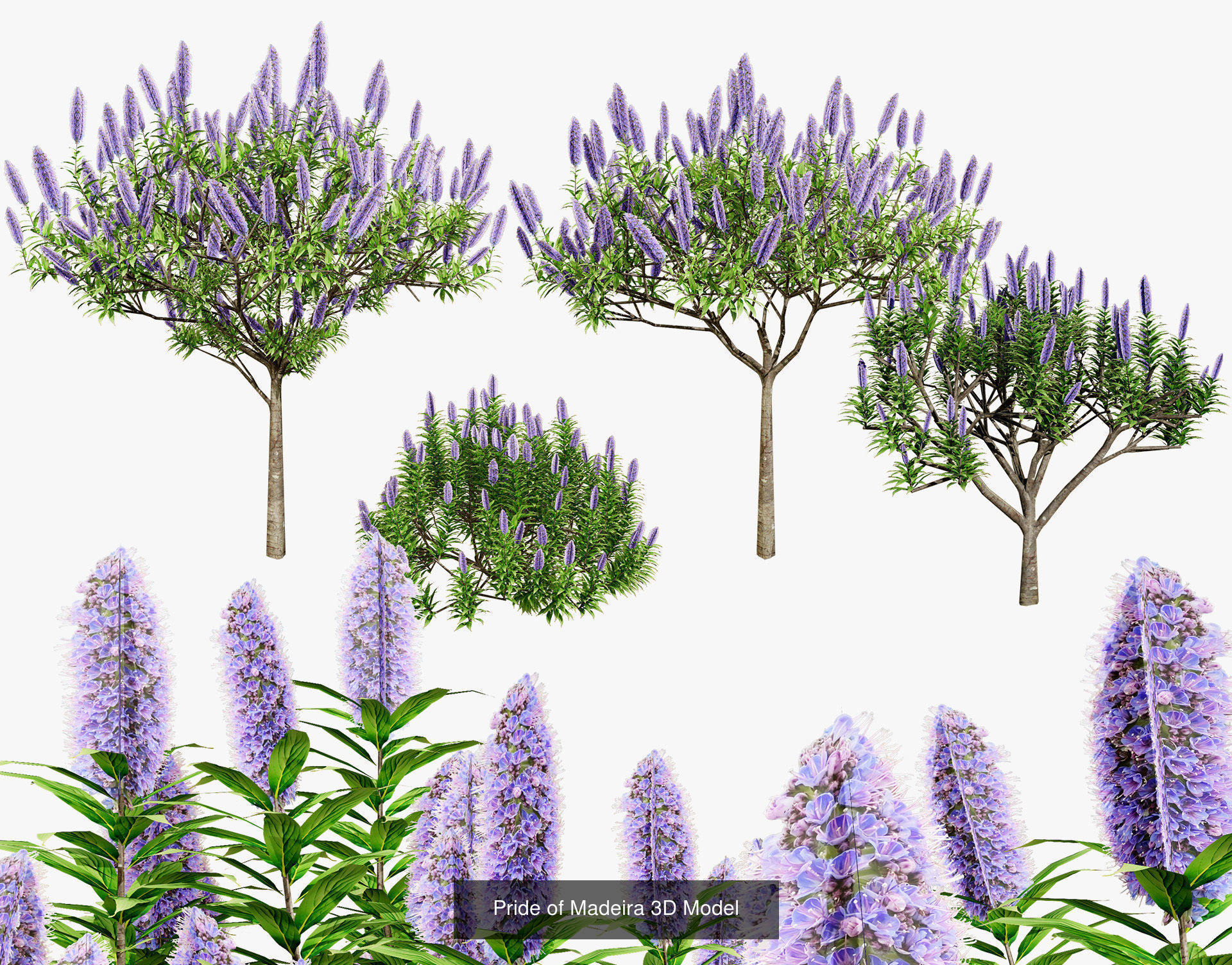 Low Poly Tree Collection _116