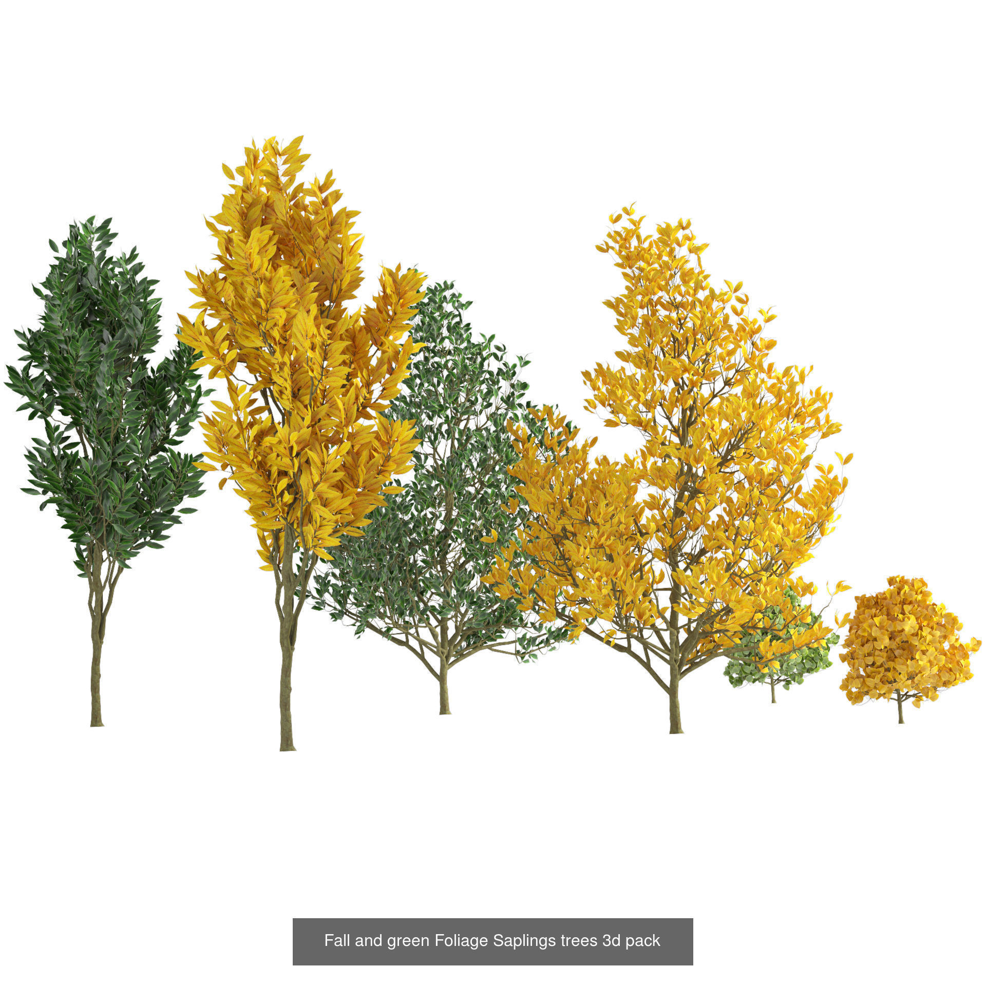 Low Poly Tree Collection _105