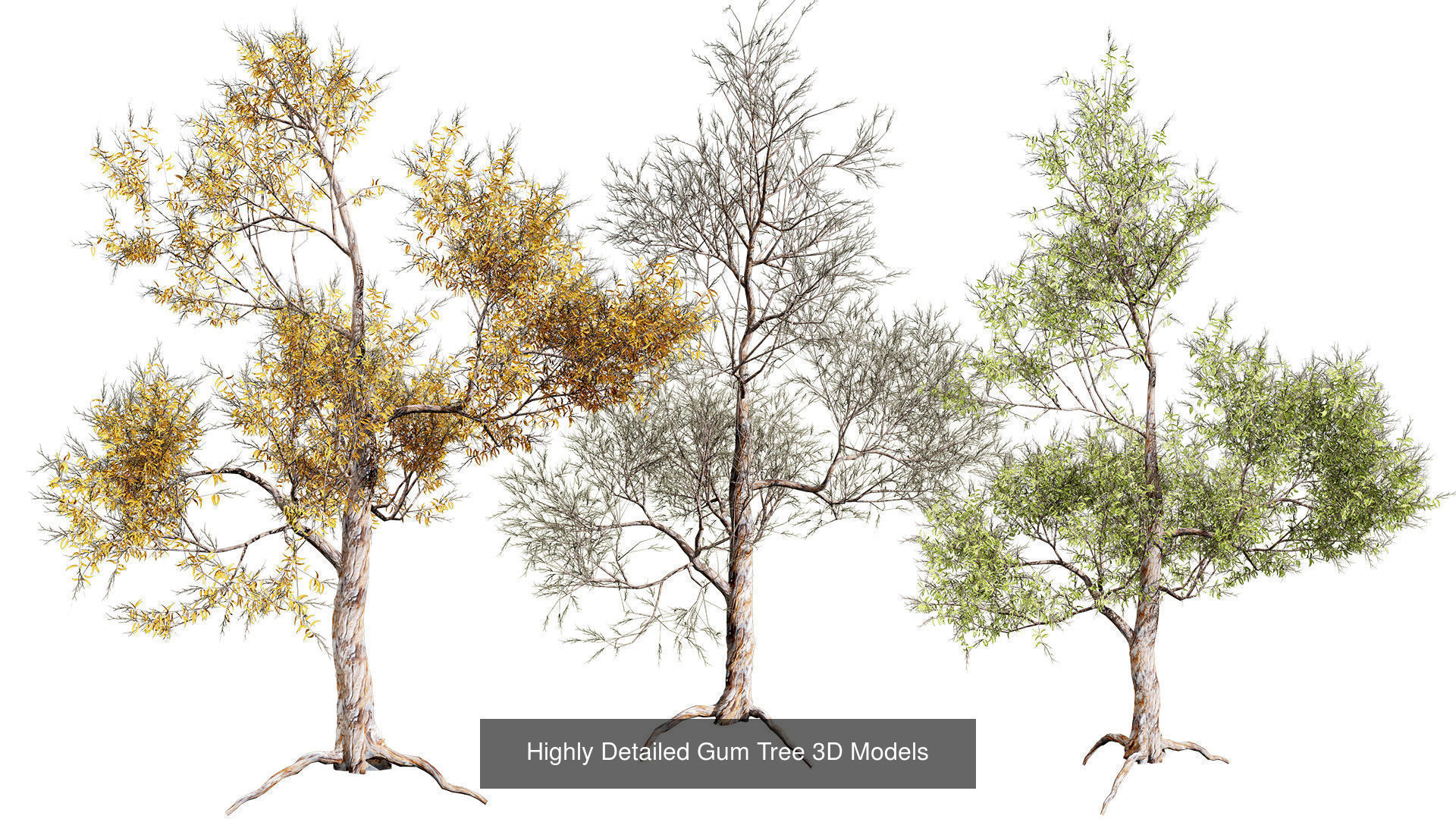 Low Poly Tree Collection _107