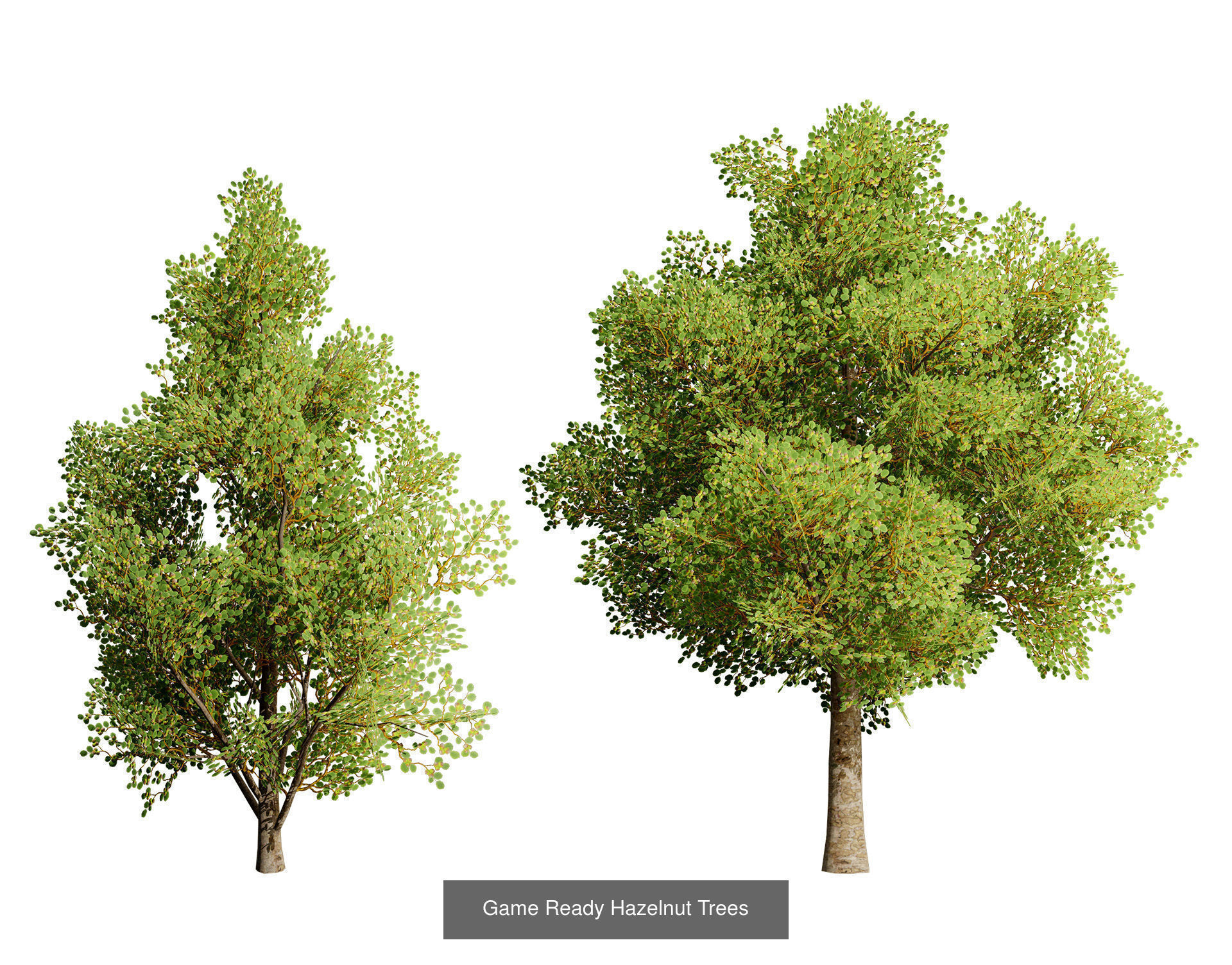 Low Poly Tree Collection _117