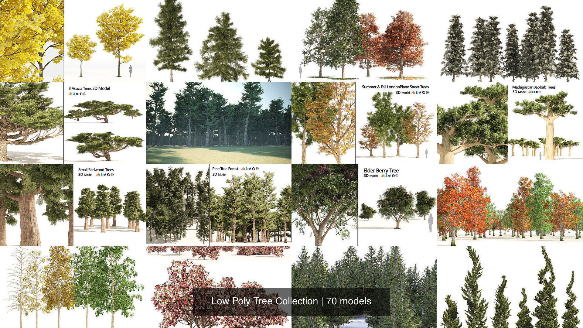 Low Poly Tree Collection _37