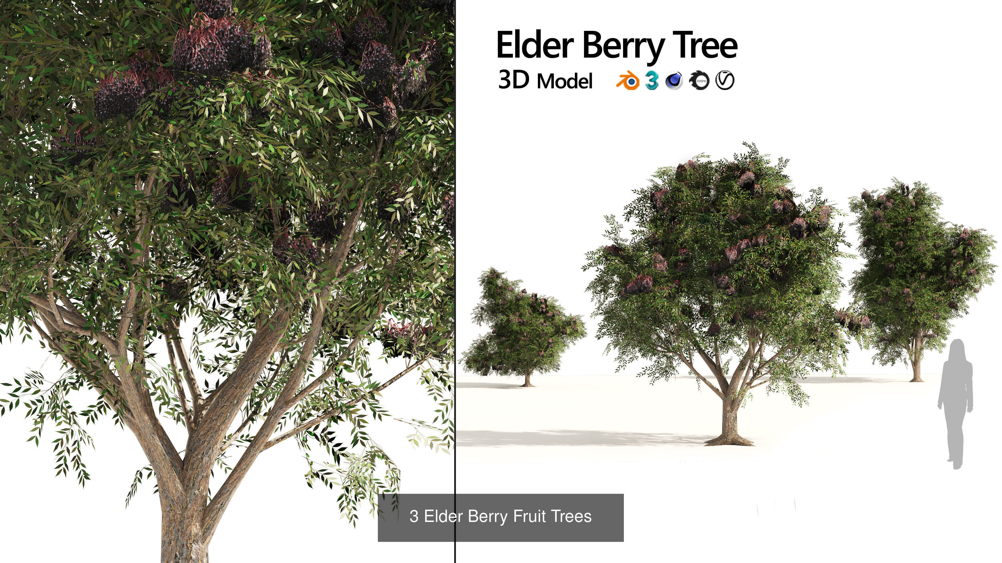 Low Poly Tree Collection _61