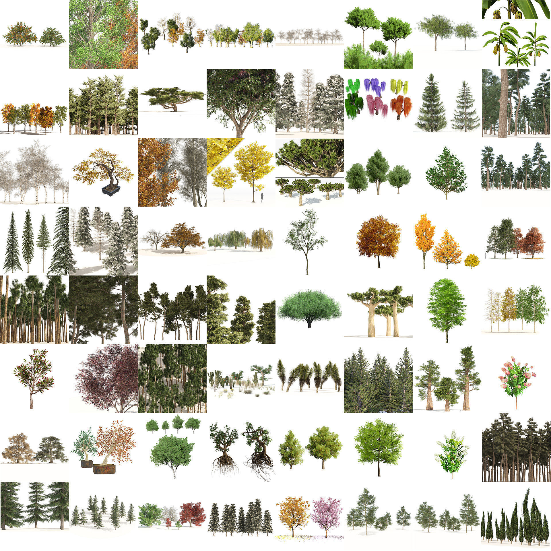 Low Poly Tree Collection _53
