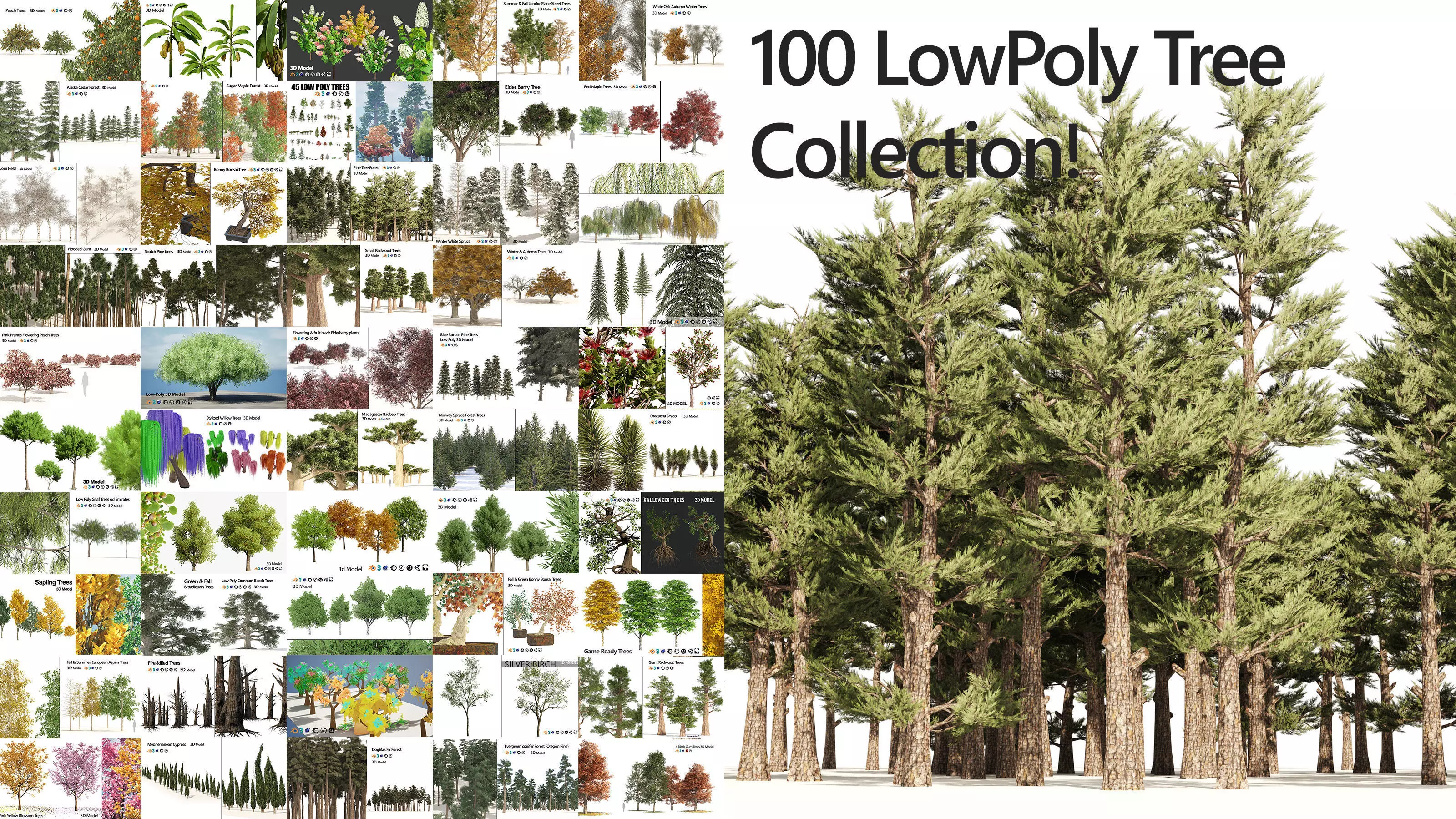 Low Poly Tree Collection _0