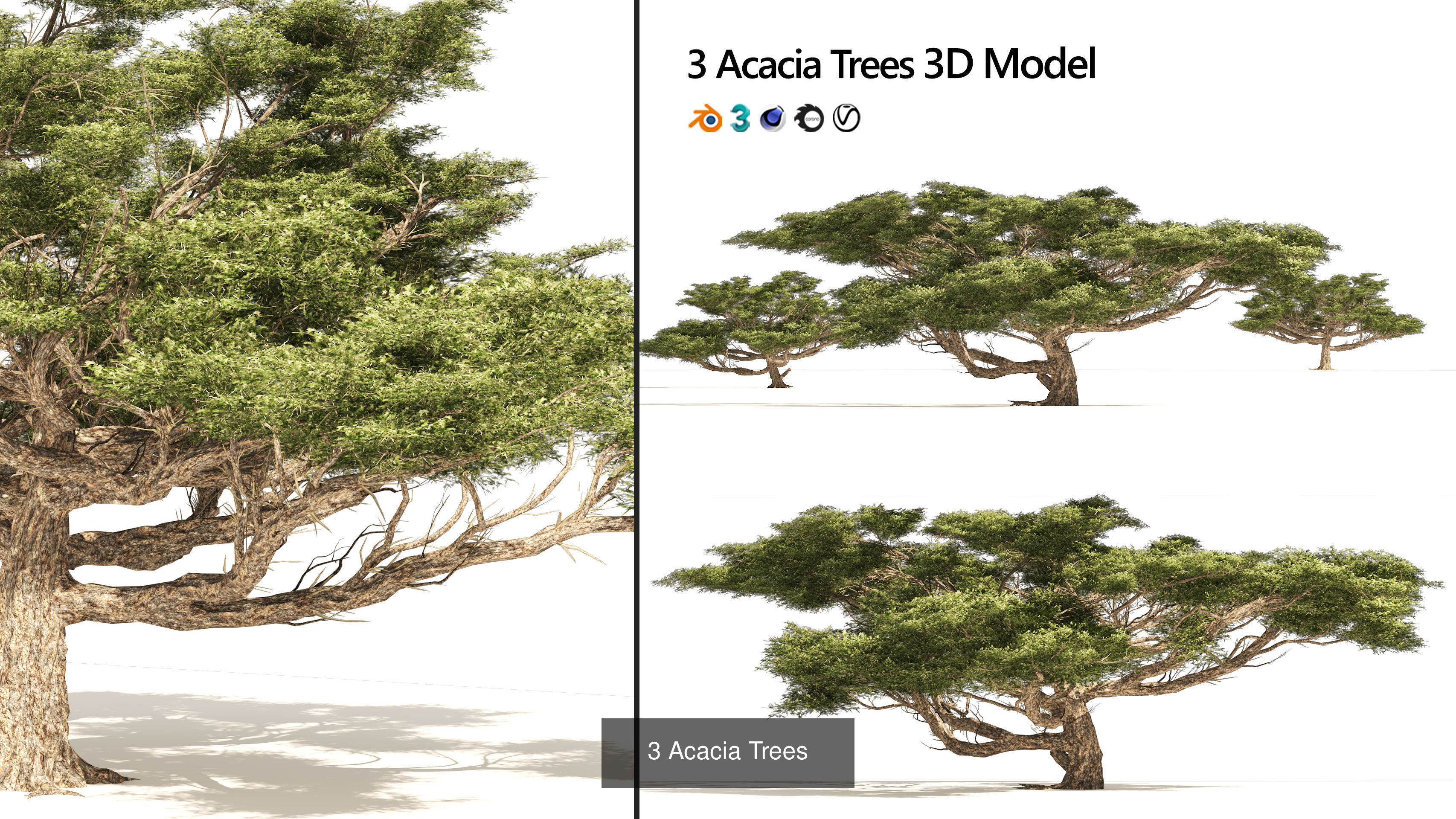 Low Poly Tree Collection _55