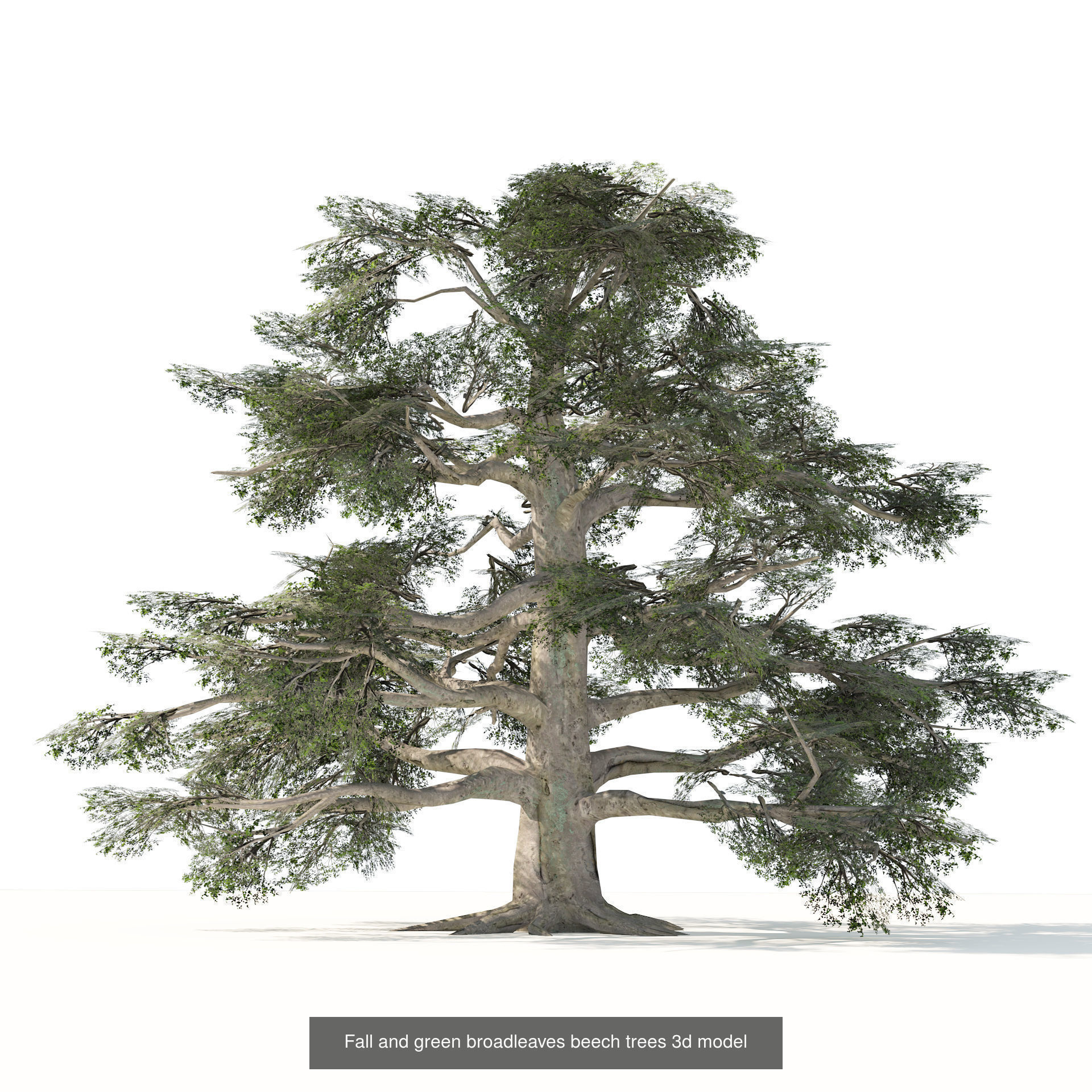 Low Poly Tree Collection _95