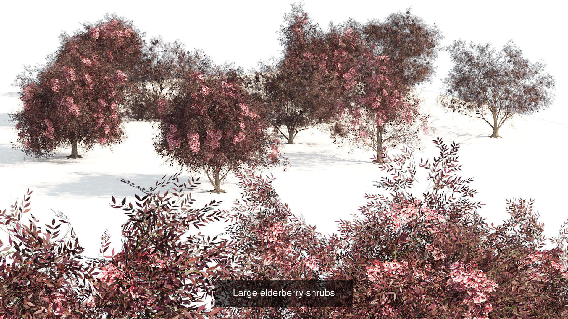 Low Poly Tree Collection _87