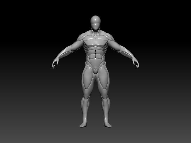 Anatomy warior Free 3D model