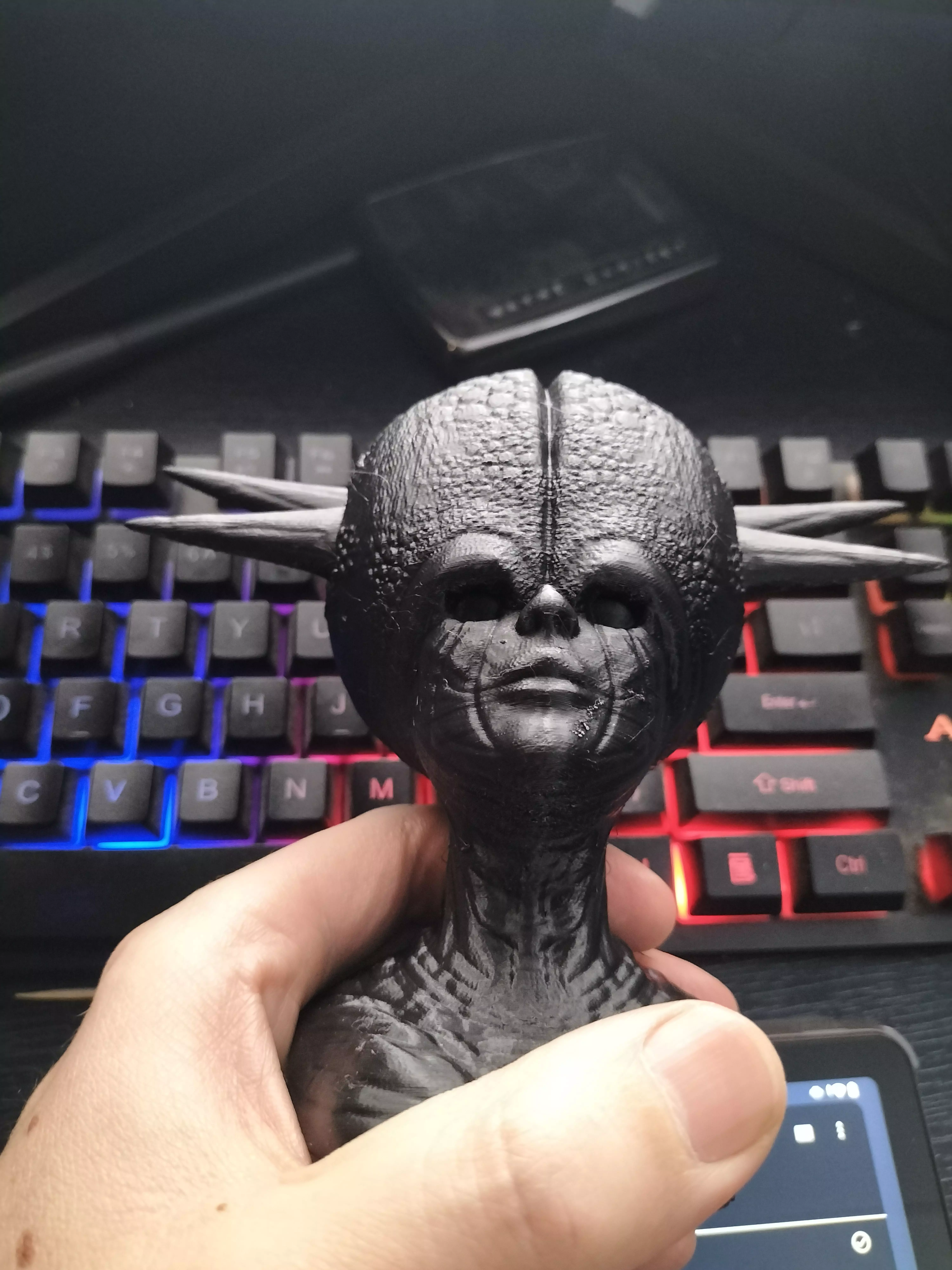 Big Head 3D print model_0