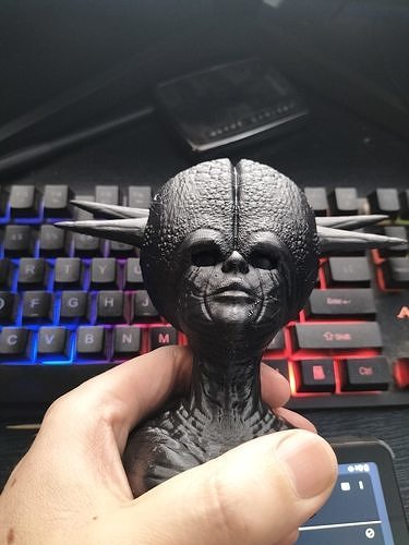 Big Head 3D print model