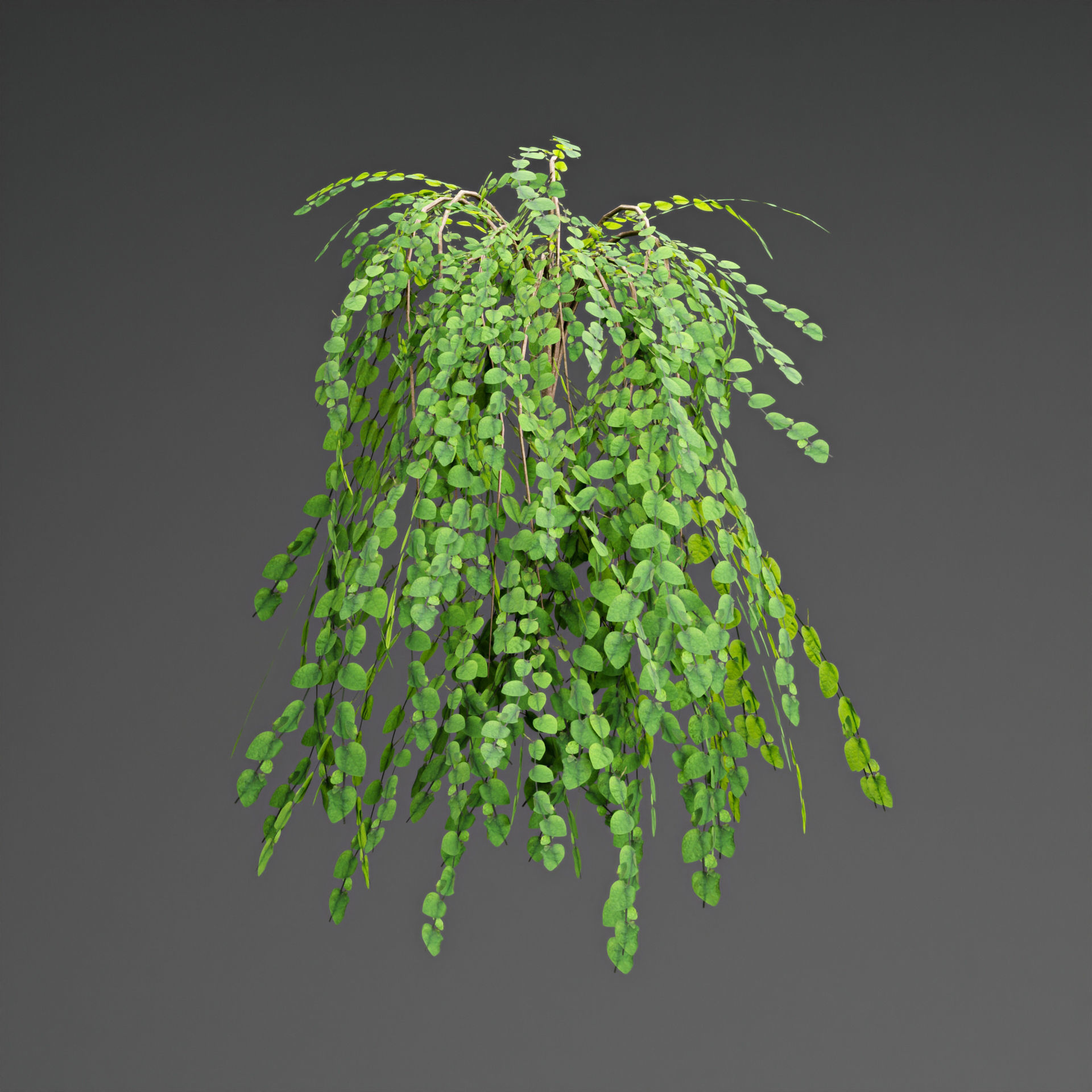 low poly 3d hanging plants collection Low-poly 3D model_1