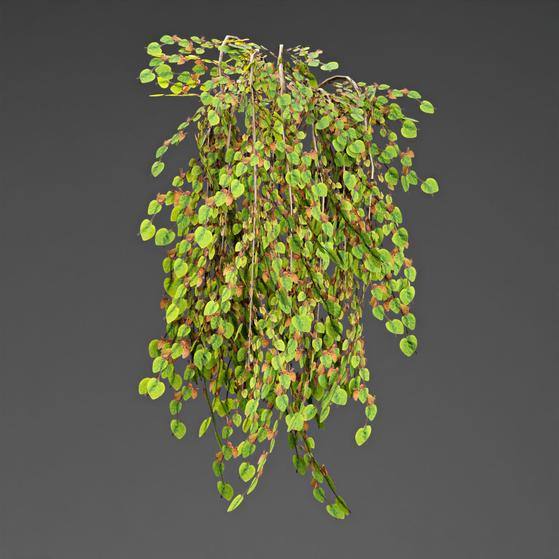 low poly 3d hanging plants collection Low-poly 3D model_4