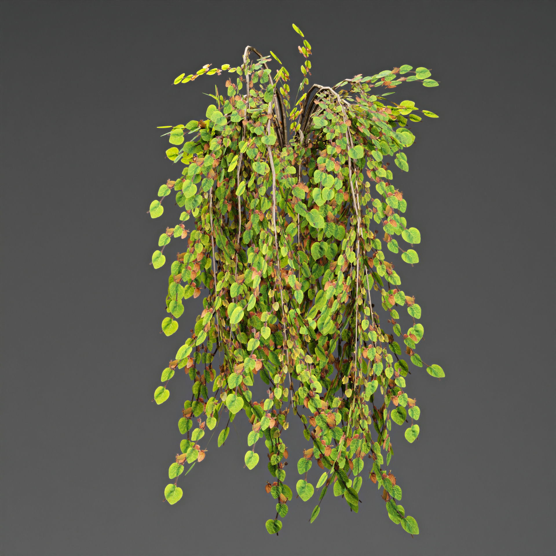 low poly 3d hanging plants collection Low-poly 3D model_5