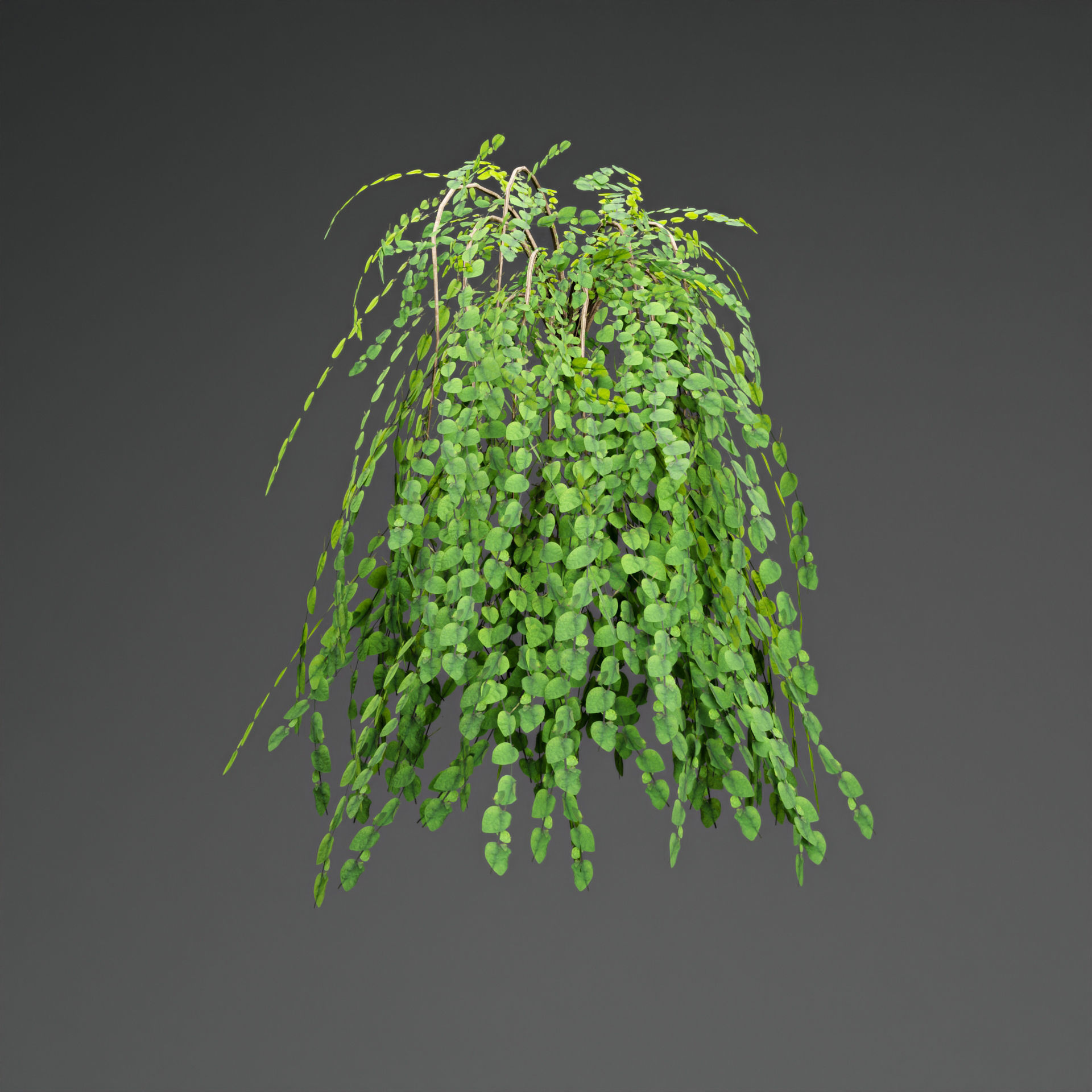 low poly 3d hanging plants collection Low-poly 3D model_2