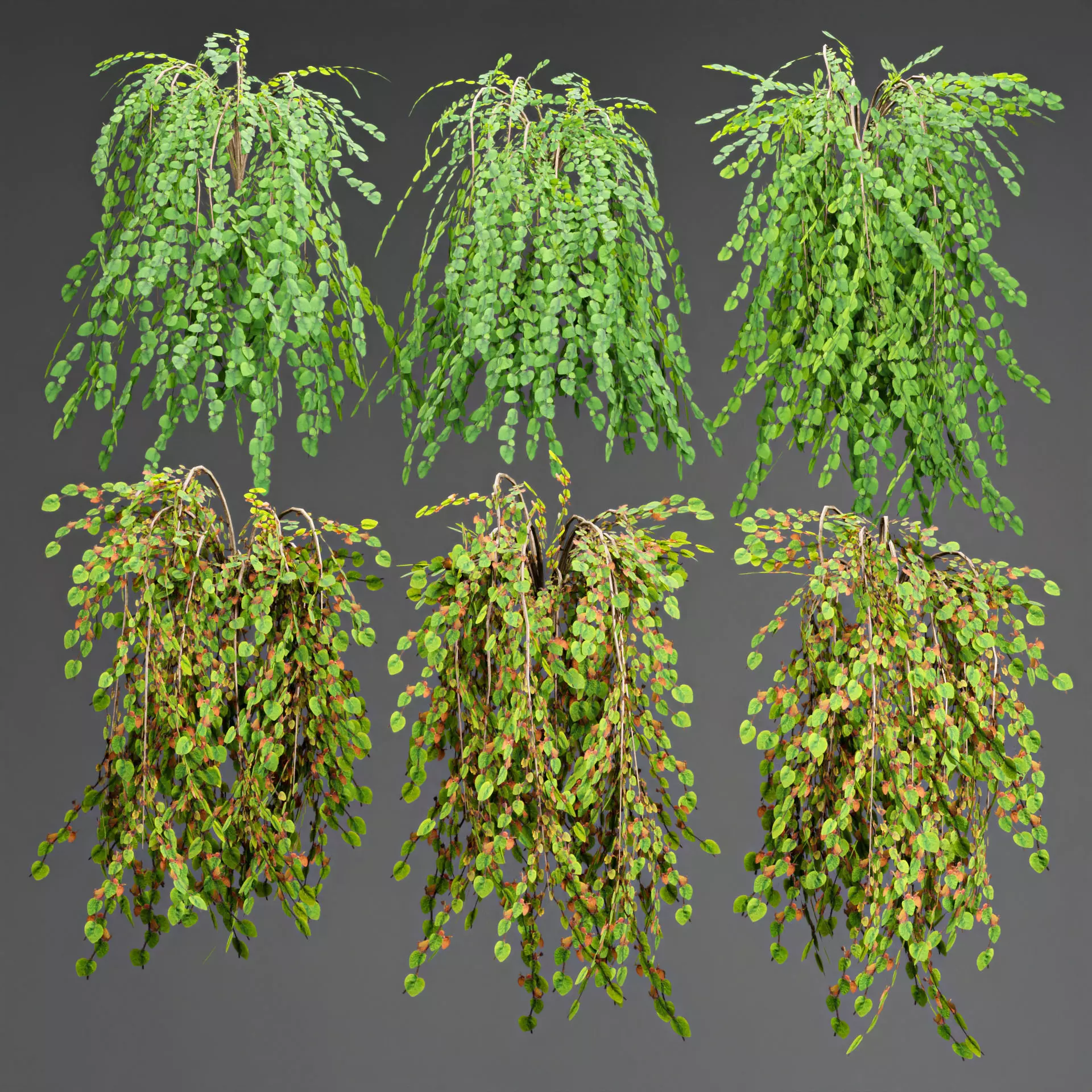 low poly 3d hanging plants collection Low-poly 3D model_0