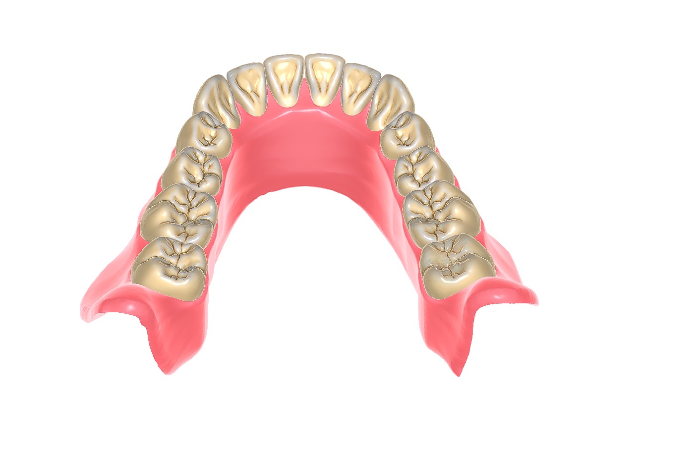 Digital exocad Complete Dentures  3D print model_44